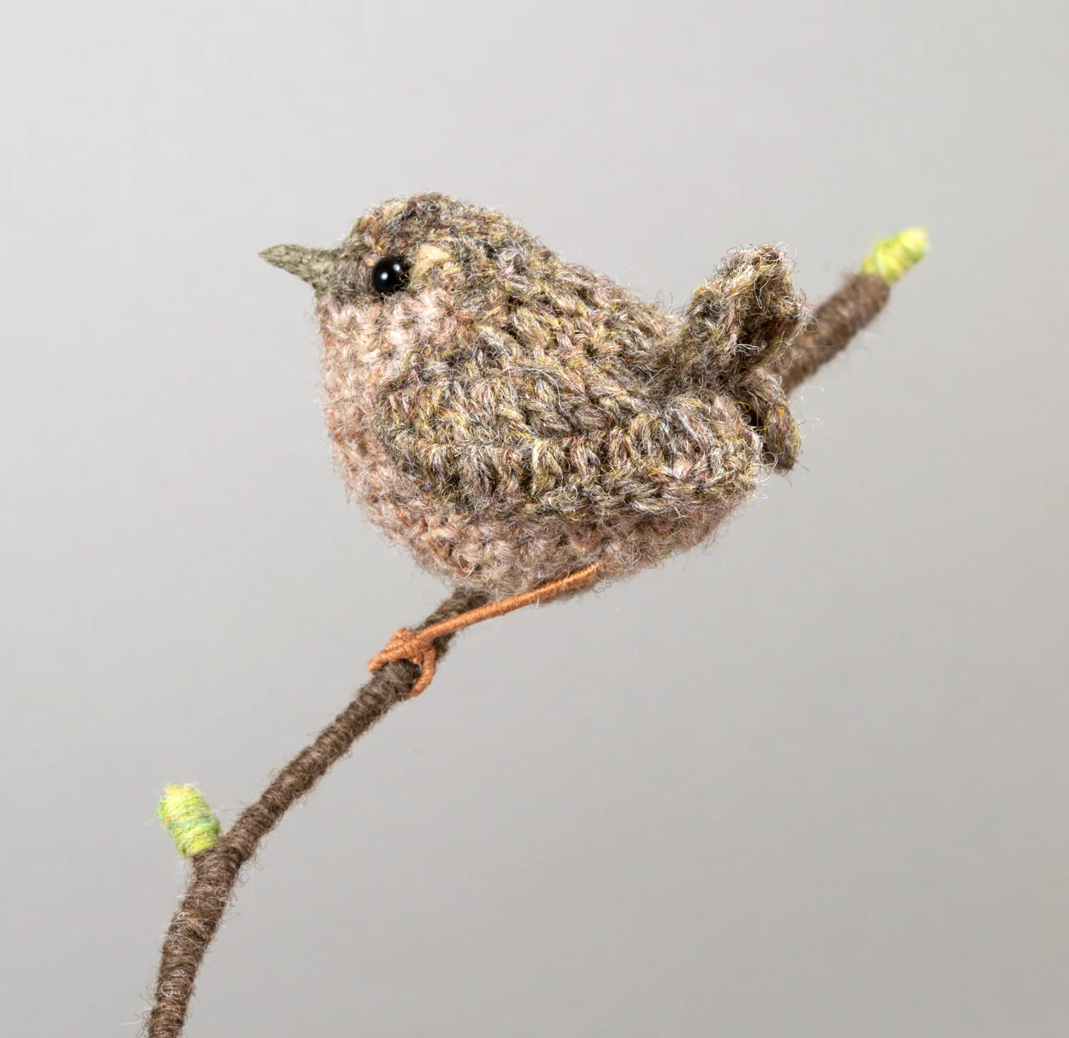 Vasebird - Wren 3 1500px 300dpi.jpg
