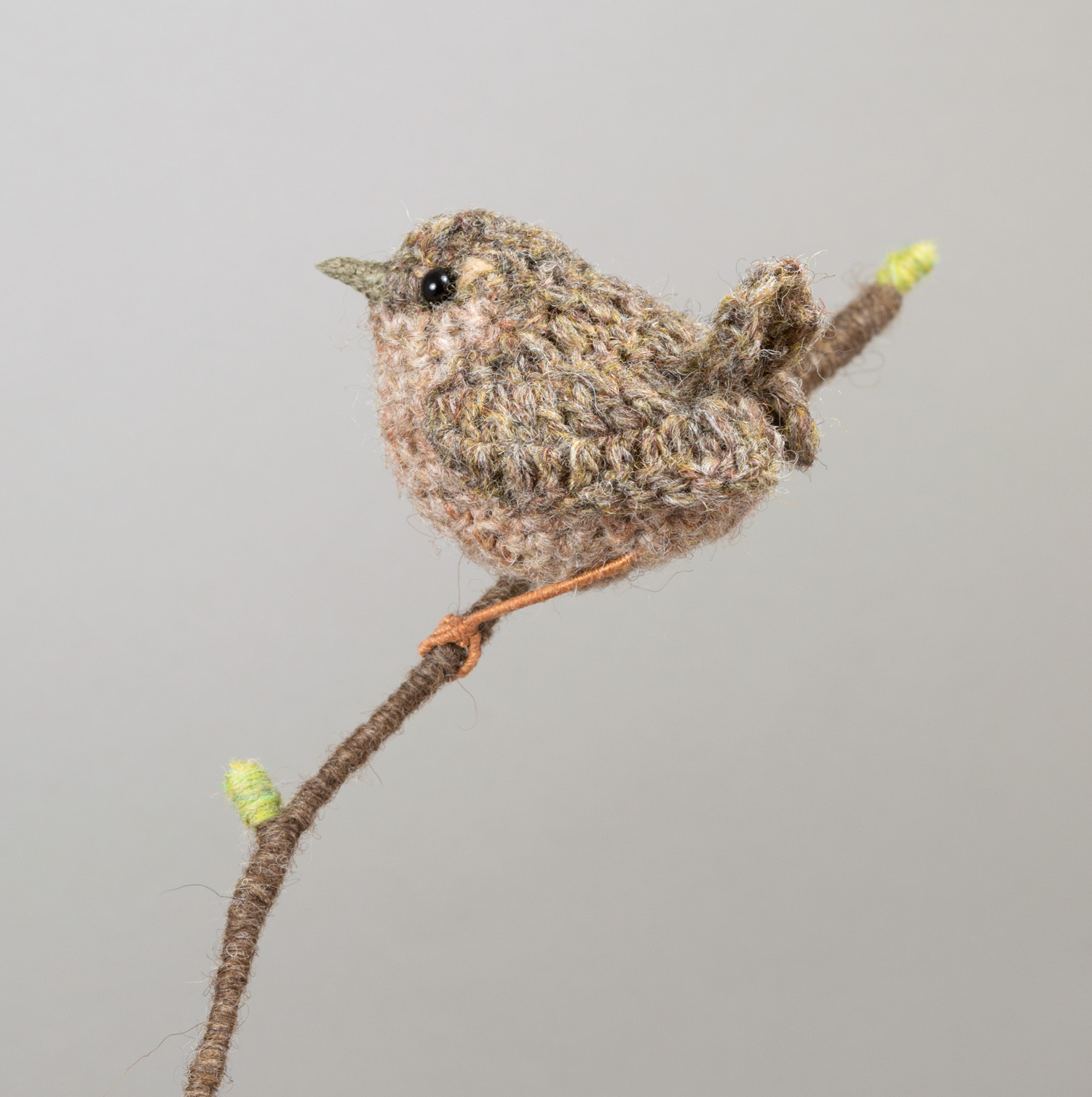 Wren vase-bird