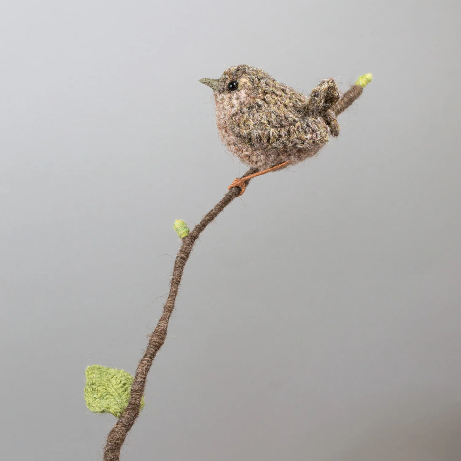 Vasebird - Wren 8 1500px 300dpi.jpg