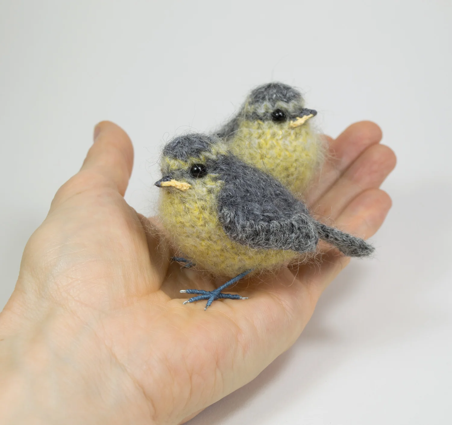 2017 Baby bluetits in hand 1 - 300dpi 1500px.jpg