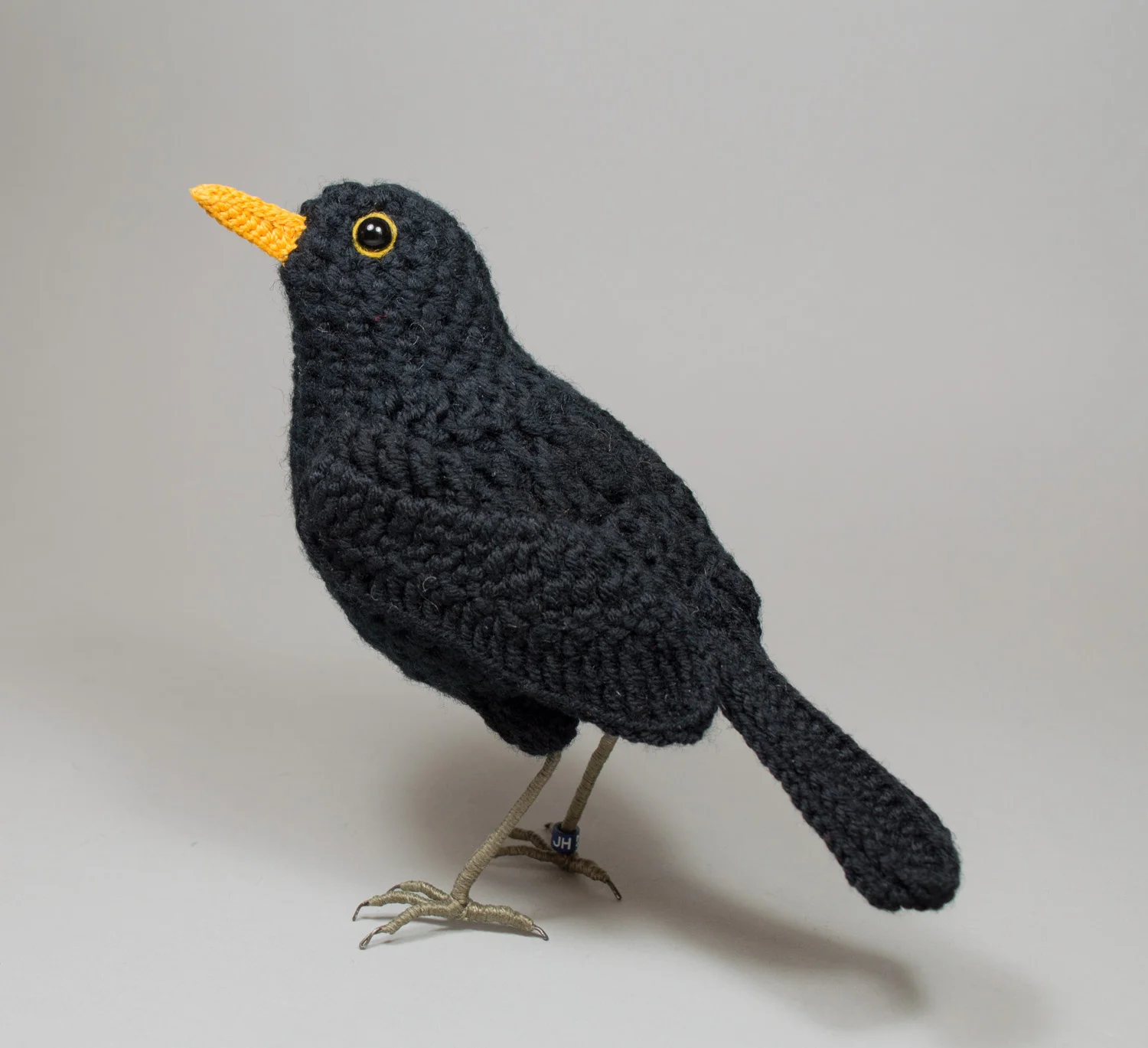 Blackbird