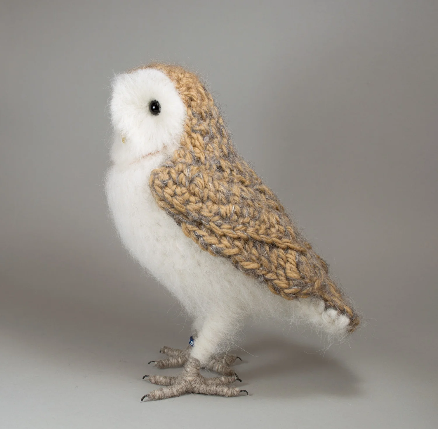 2017 Barn owl 4 - 300dpi 1500px.jpg