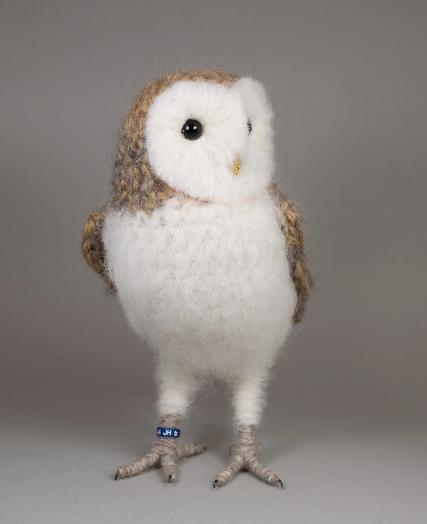 2017 Barn owl 10 - 300dpi 1500px.jpg