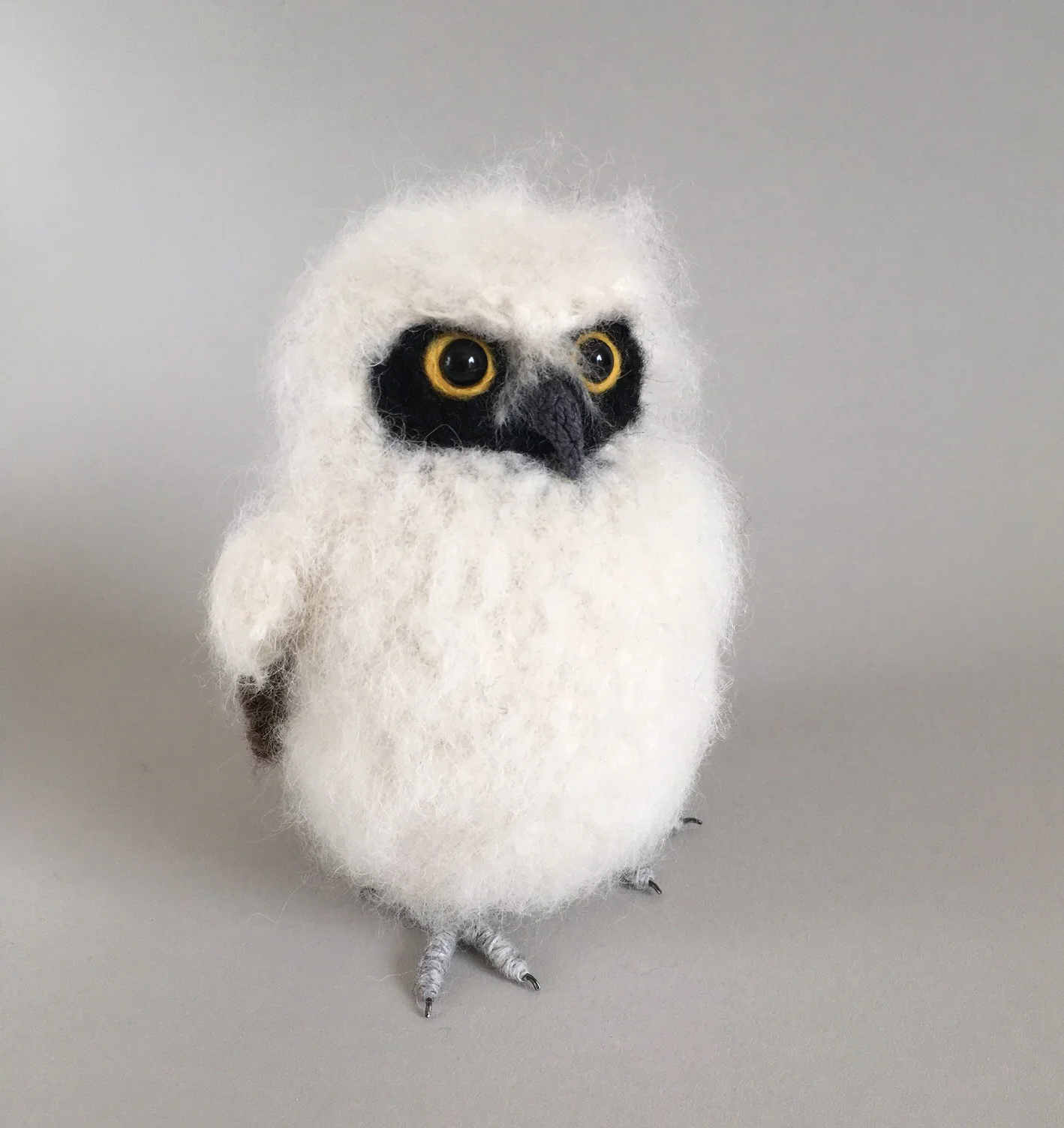 2017 Baby Spectacled Owl - 6 300dpi cropped.jpg