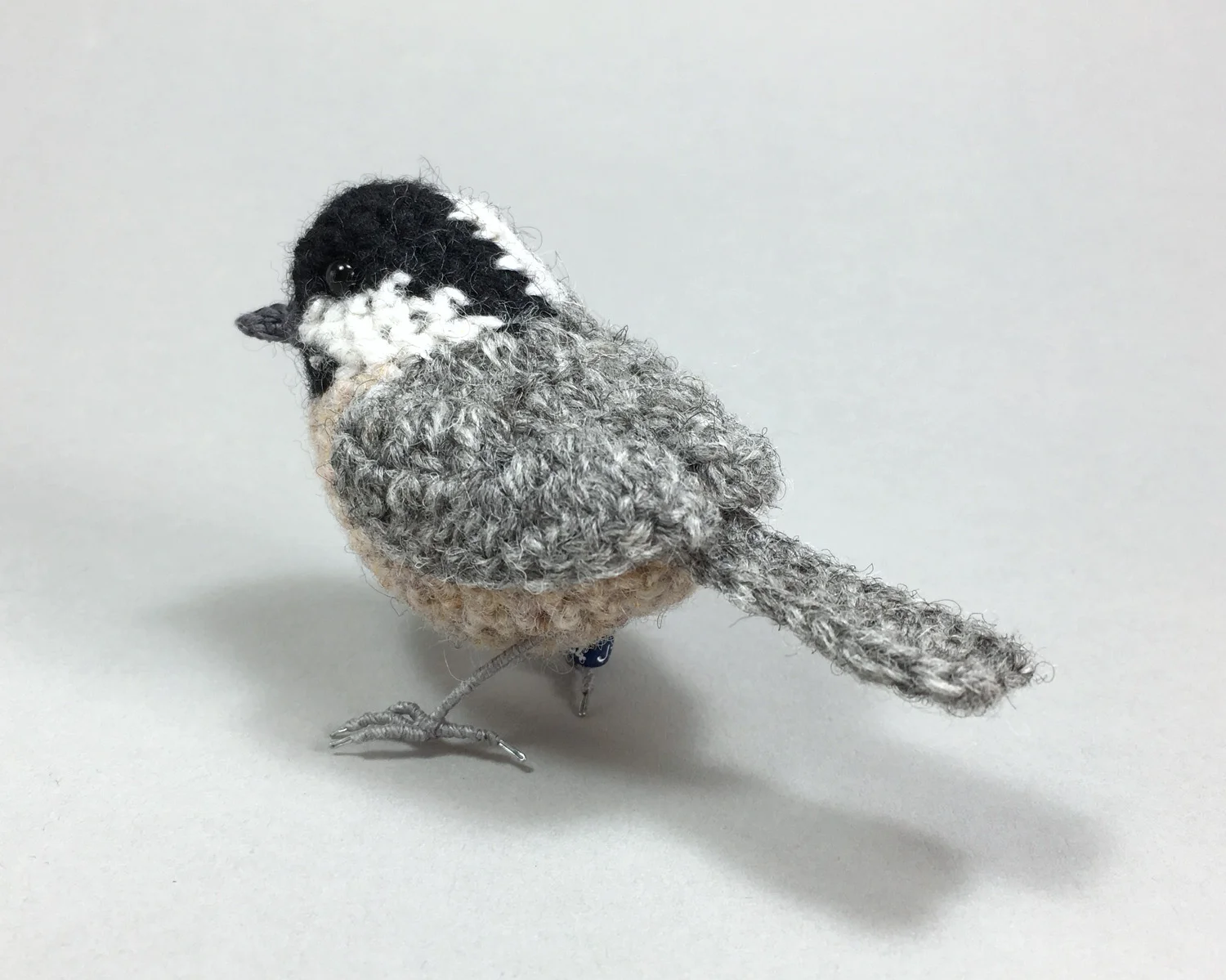 2017 Coal tit 5 1500px.jpg