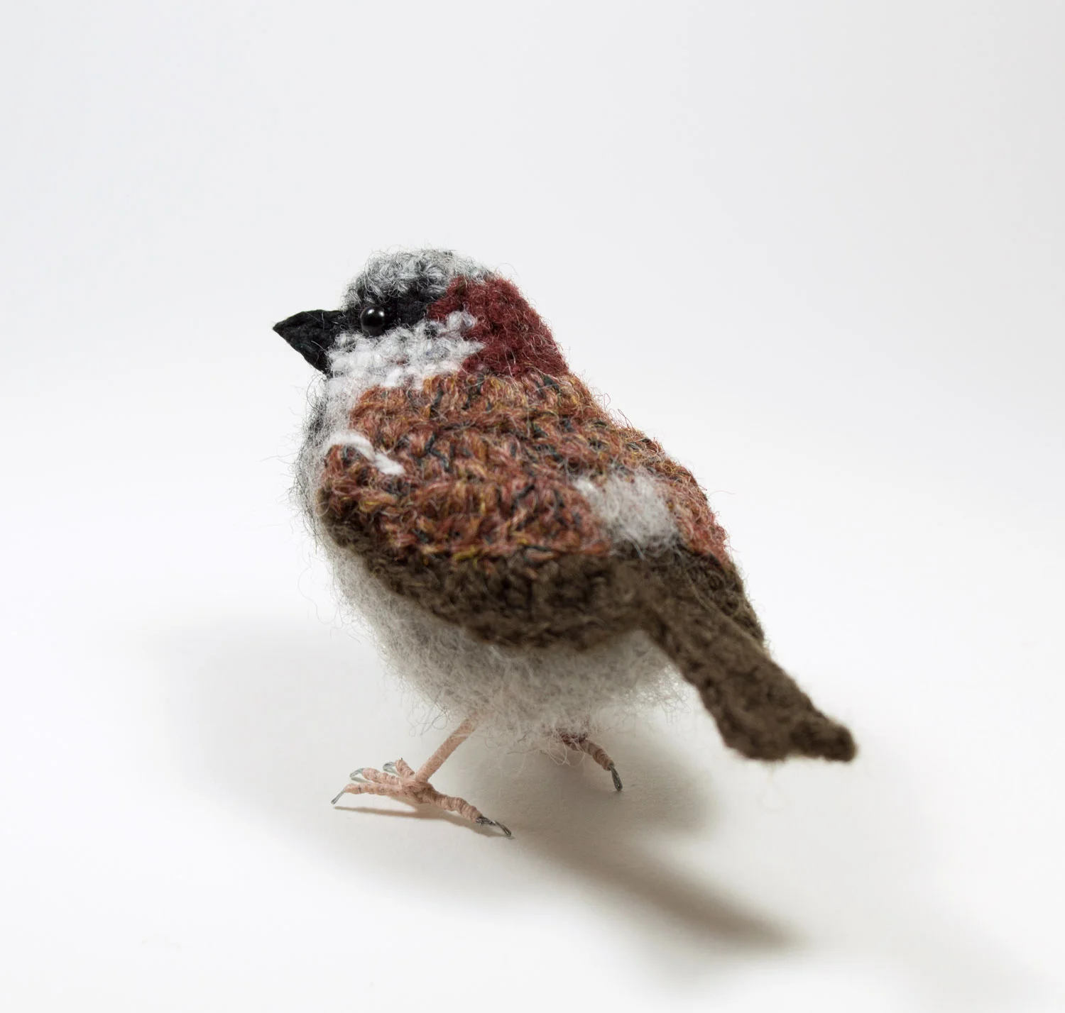 2018 Male sparrow 5 300dpi 1500px.jpg