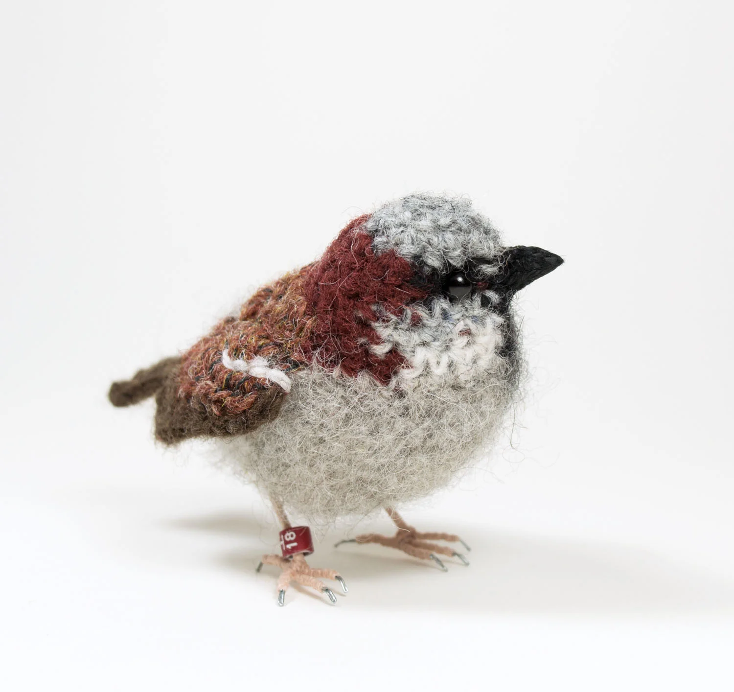 2018 Male sparrow 7 300dpi 1500px.jpg
