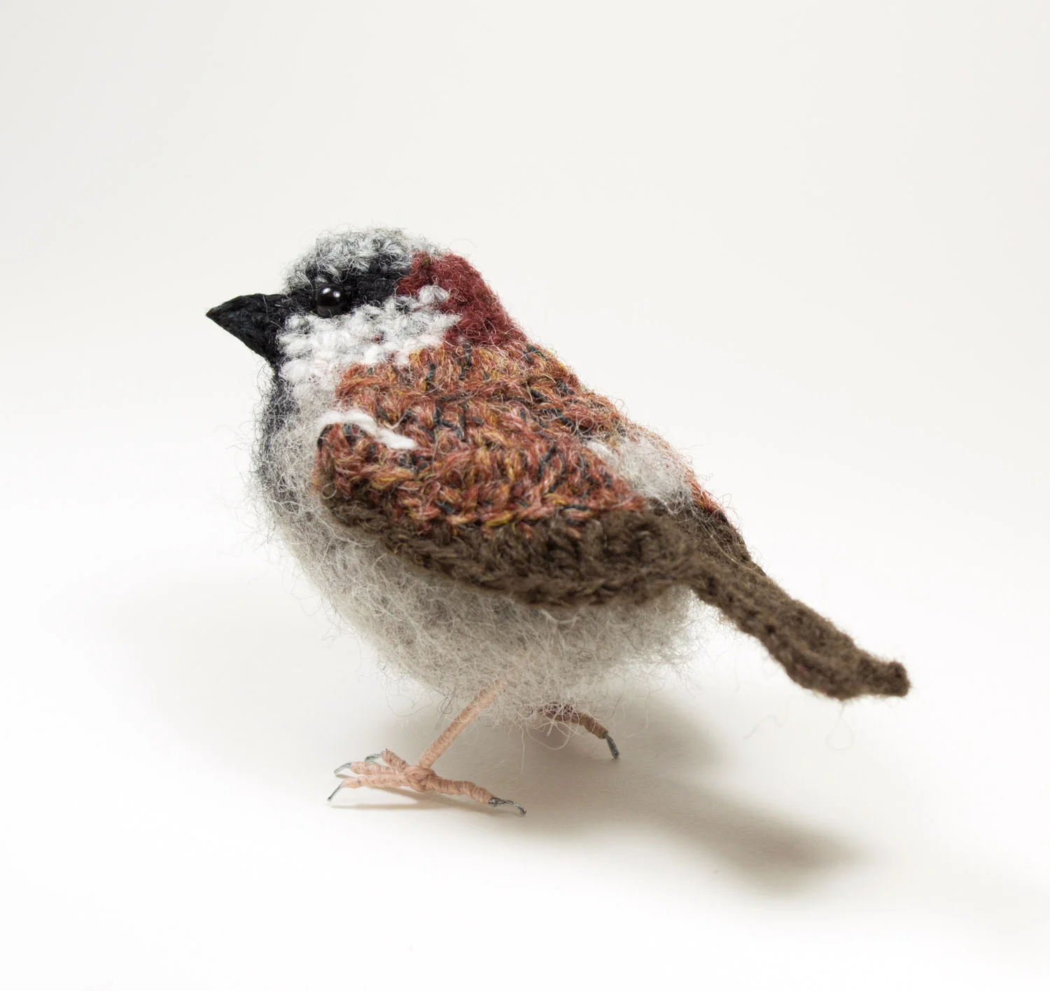 2018 Male sparrow 8 300dpi 1500px.jpg