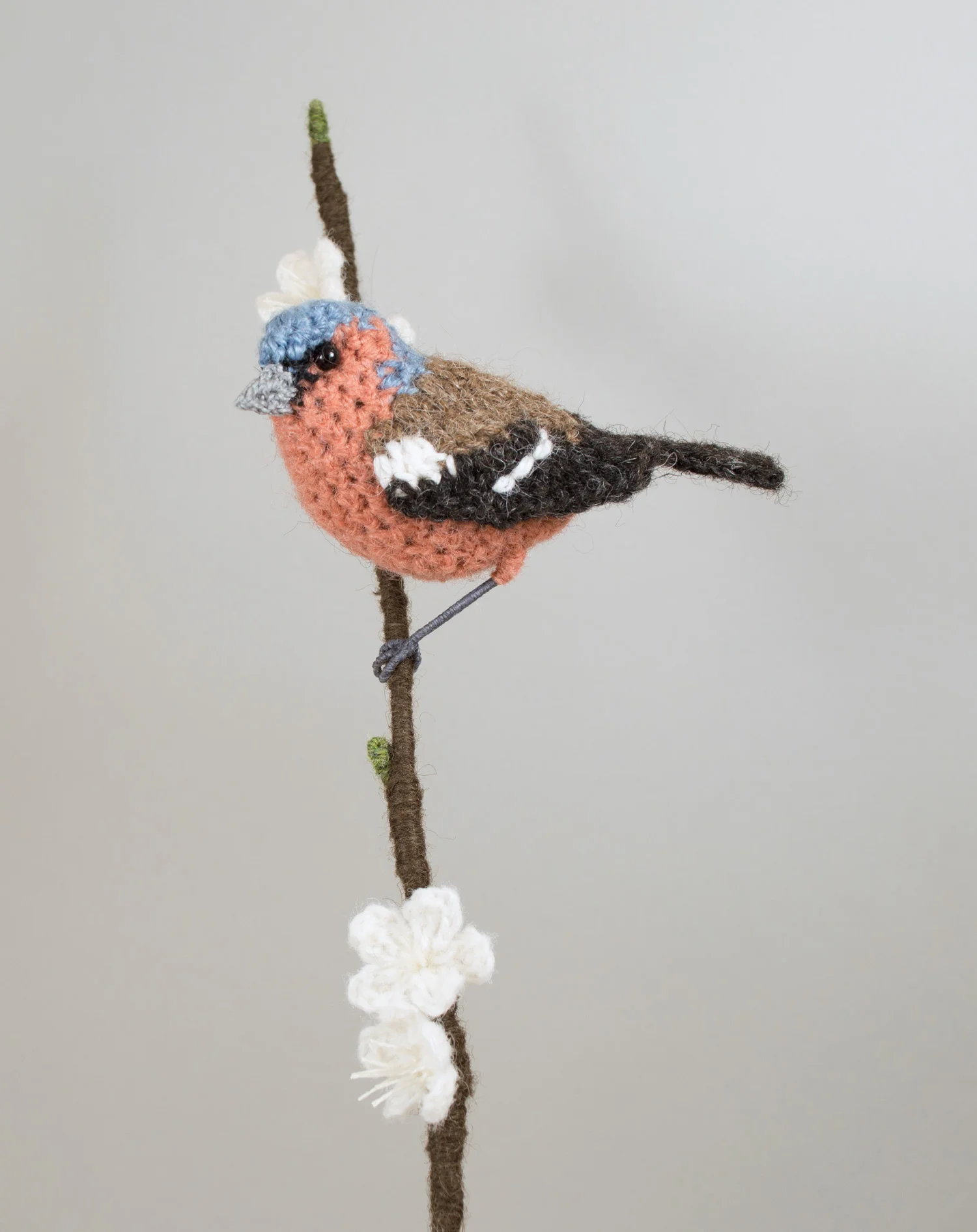 Chaffinch vasebird 5 300dpi 1500px.jpg