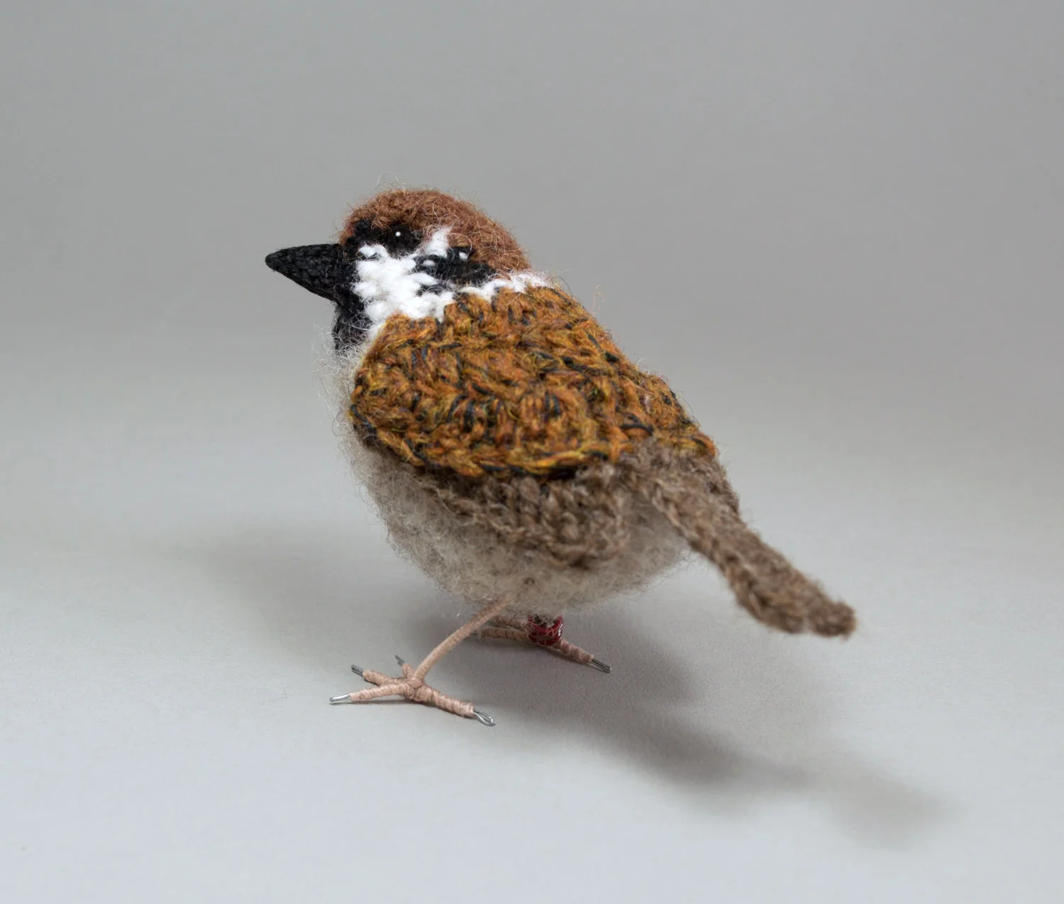 Tree sparrow 3 300dpi 1500px.jpg