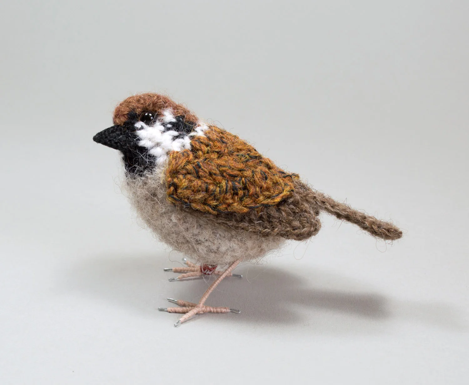 Tree sparrow 1 300dpi 1500px.jpg