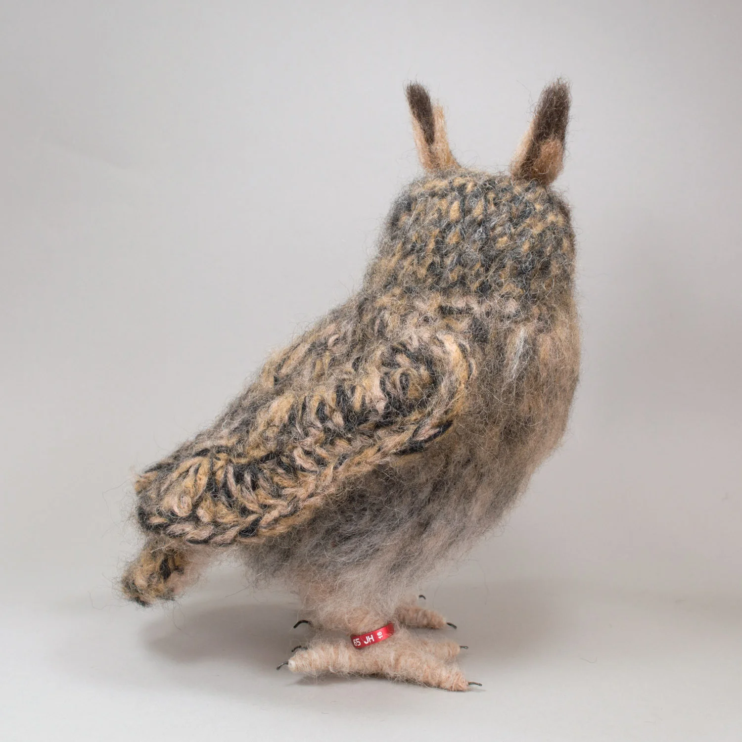 Long-eared owl 6 1500px.jpg