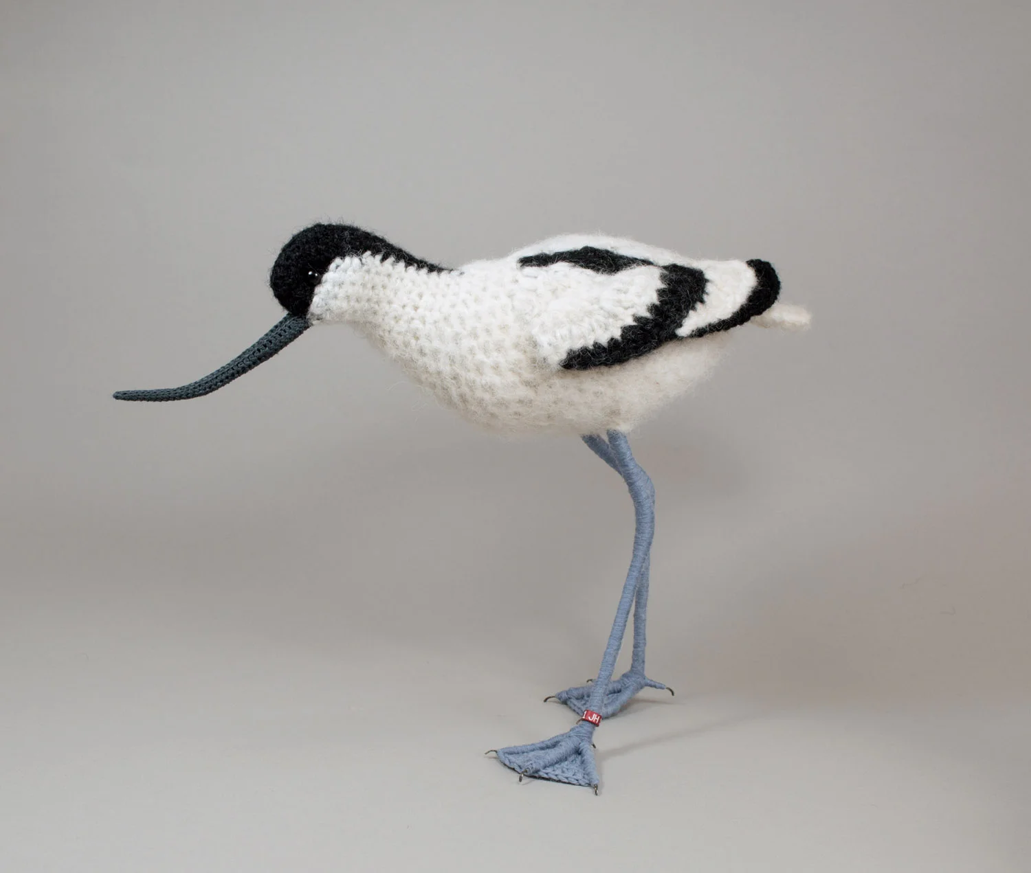 Avocet 9 adjusted 1500px.jpg