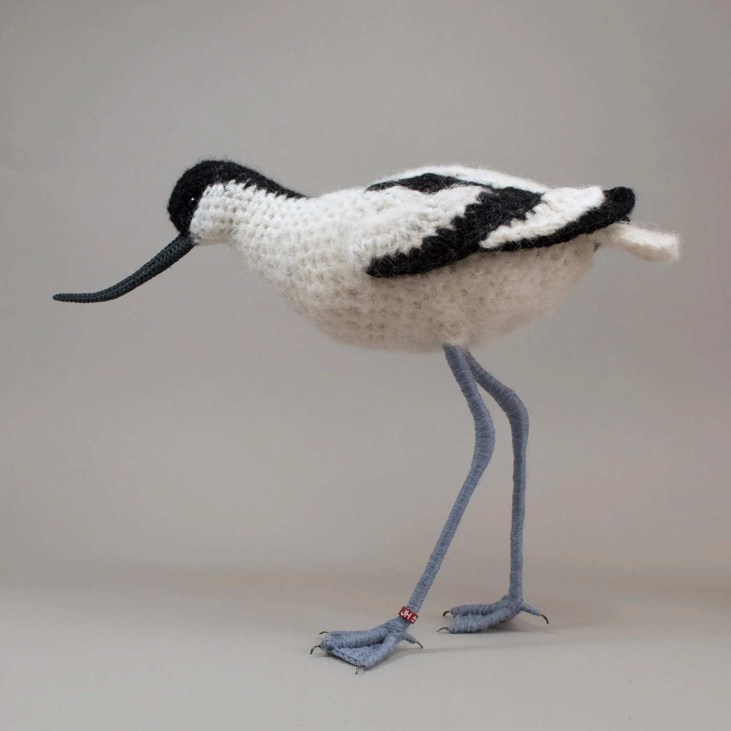 Avocet 15 1500px.jpg