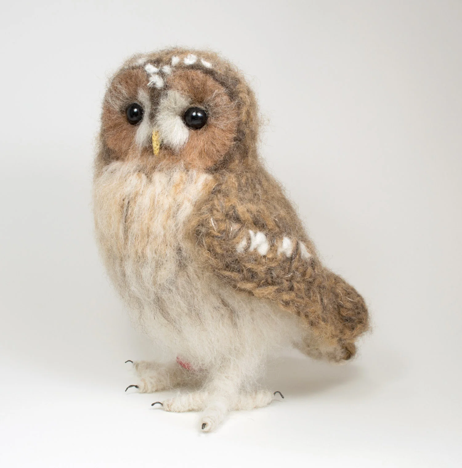 2018 Tawny owl 2 - 300dpi 1500px.jpg