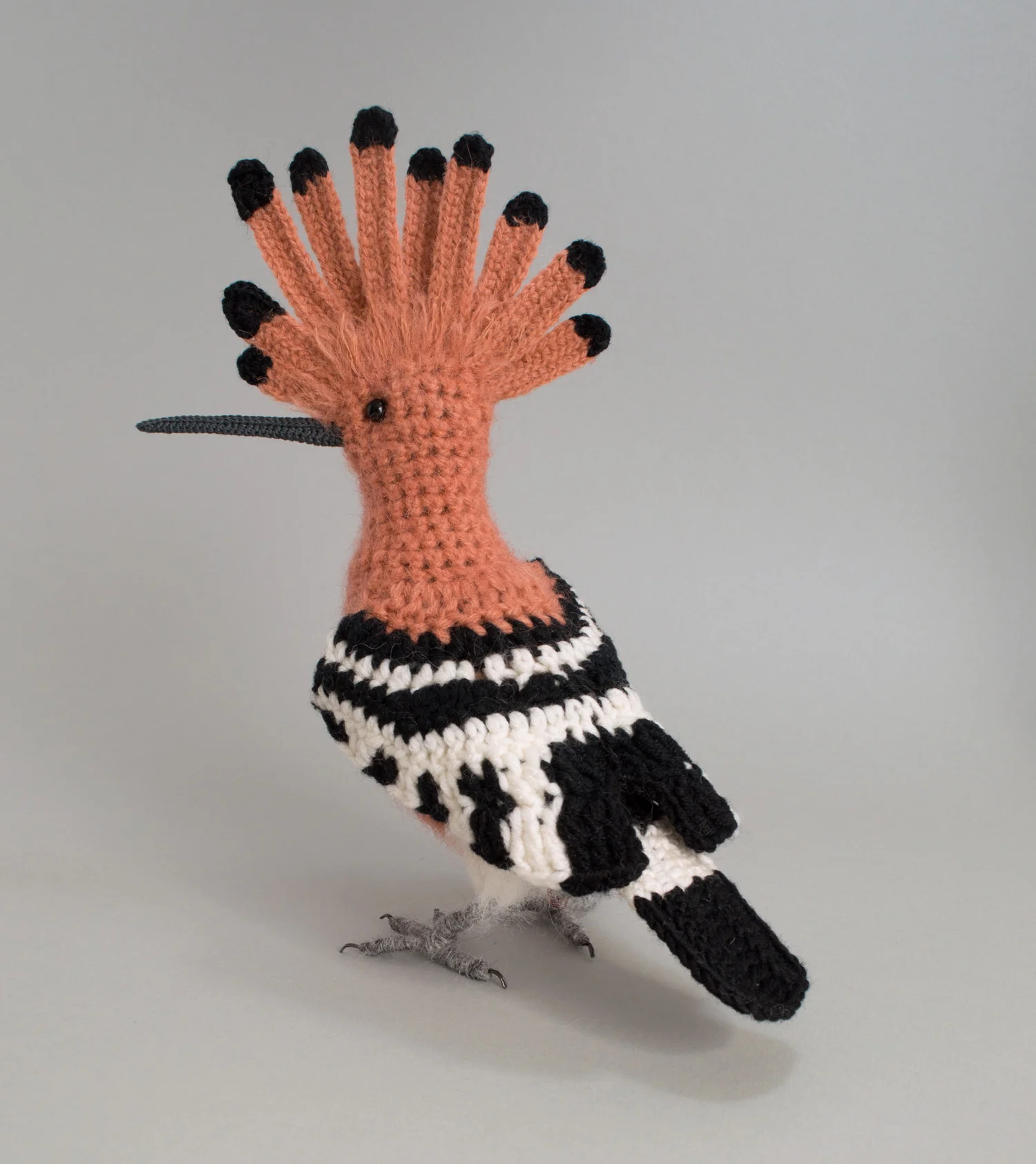 Hoopoe 1 300dpi 1500px.jpg
