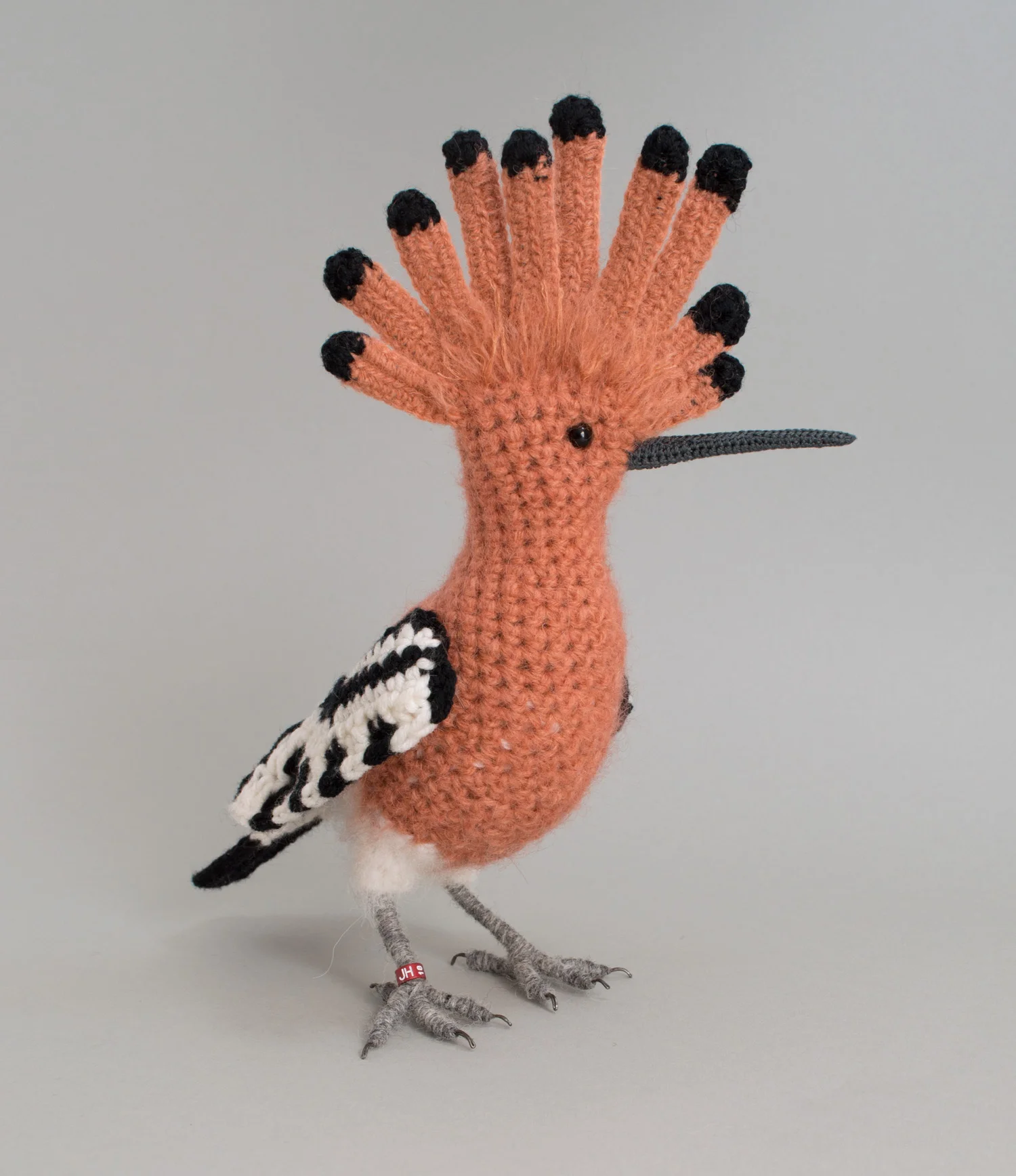 Hoopoe 6 300dpi 1500px.jpg