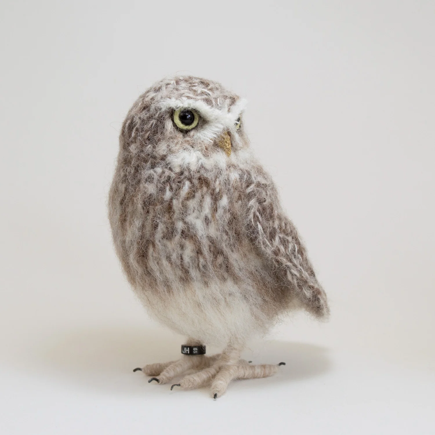 2019 Little Owl 15 1500px.jpg