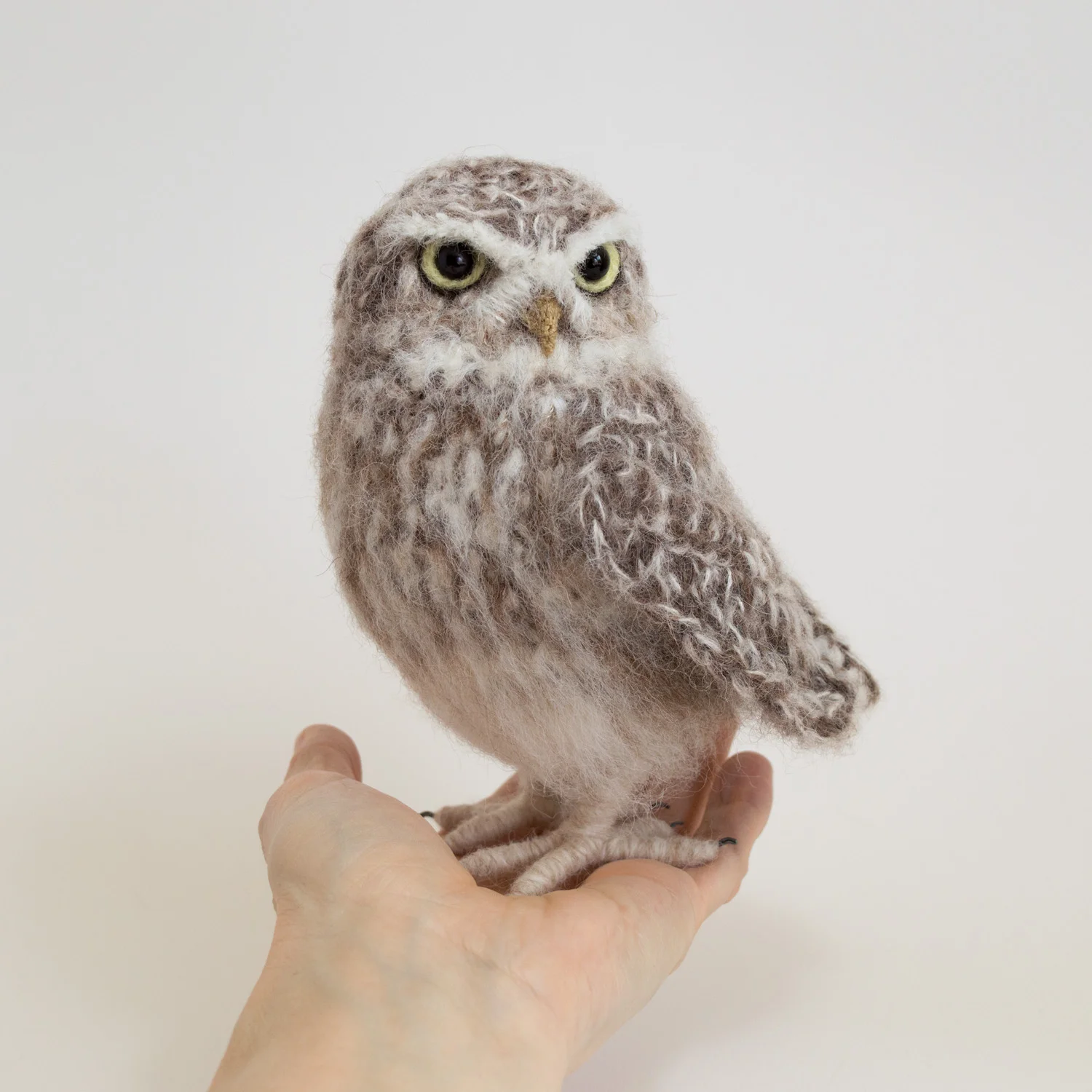 2019 Little Owl in hand 13 1500px.jpg