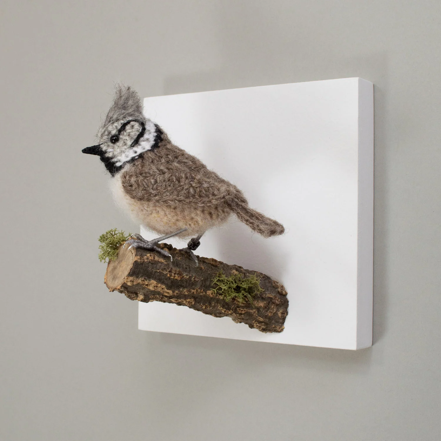 Crested tit wall bird 3 1500px.jpg