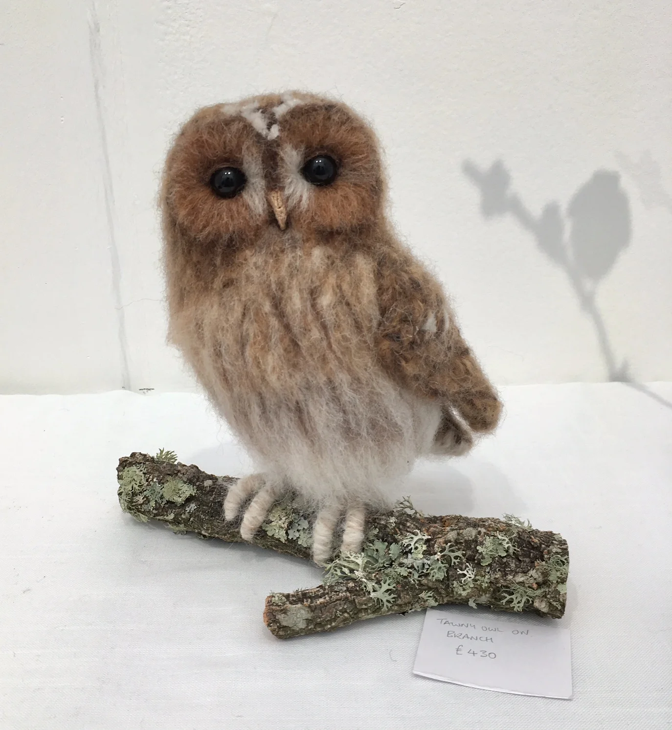 Tawny on branch - stand photo.jpg