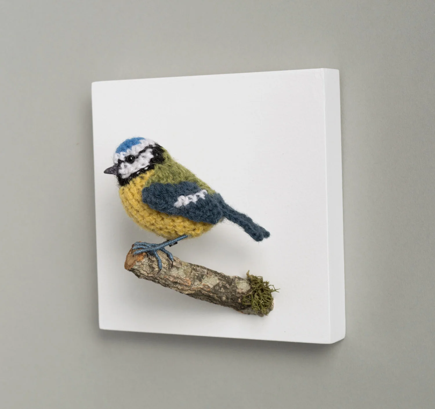 Bluetit wall bird 3 1500px.jpg