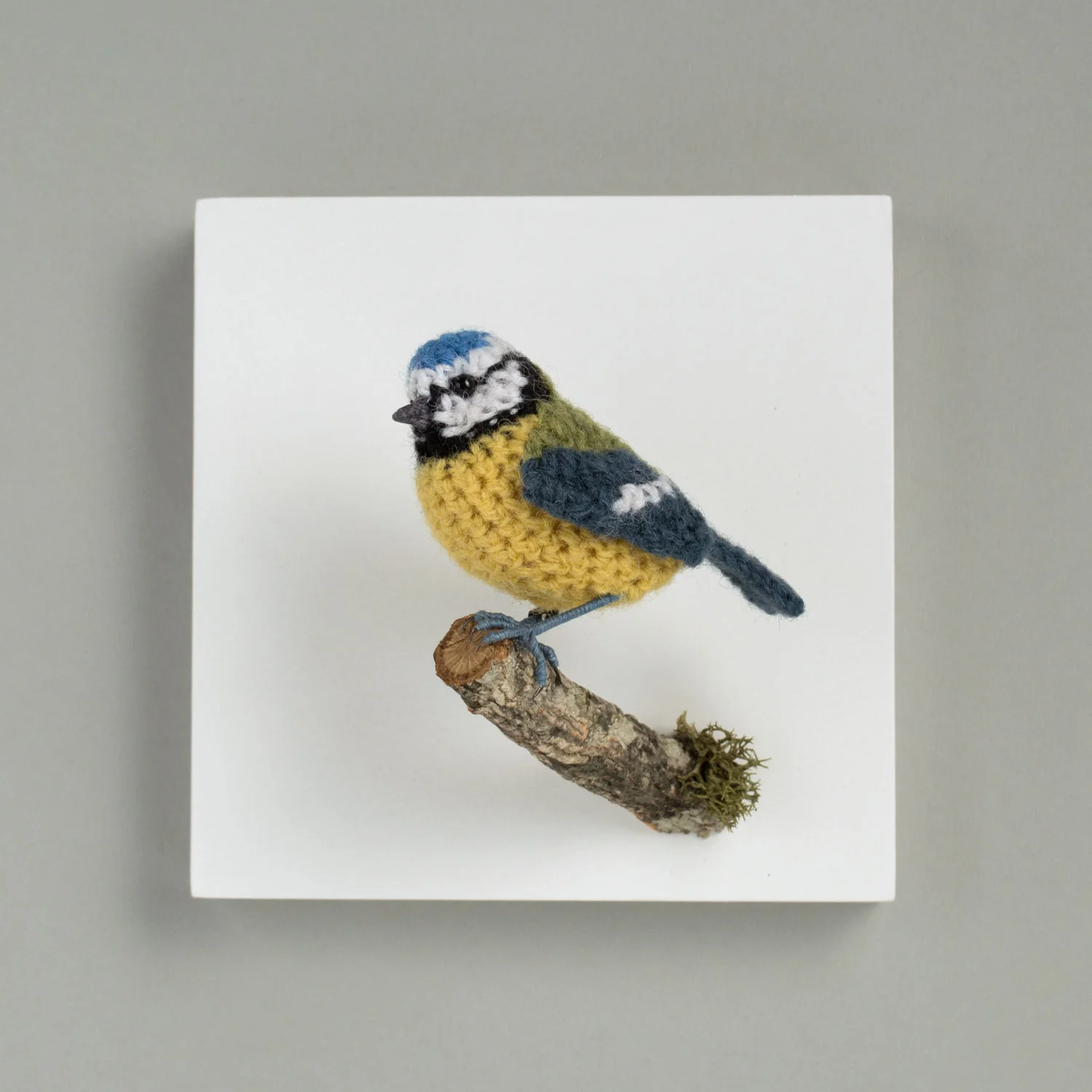 Bluetit wall bird 1 1500px.jpg