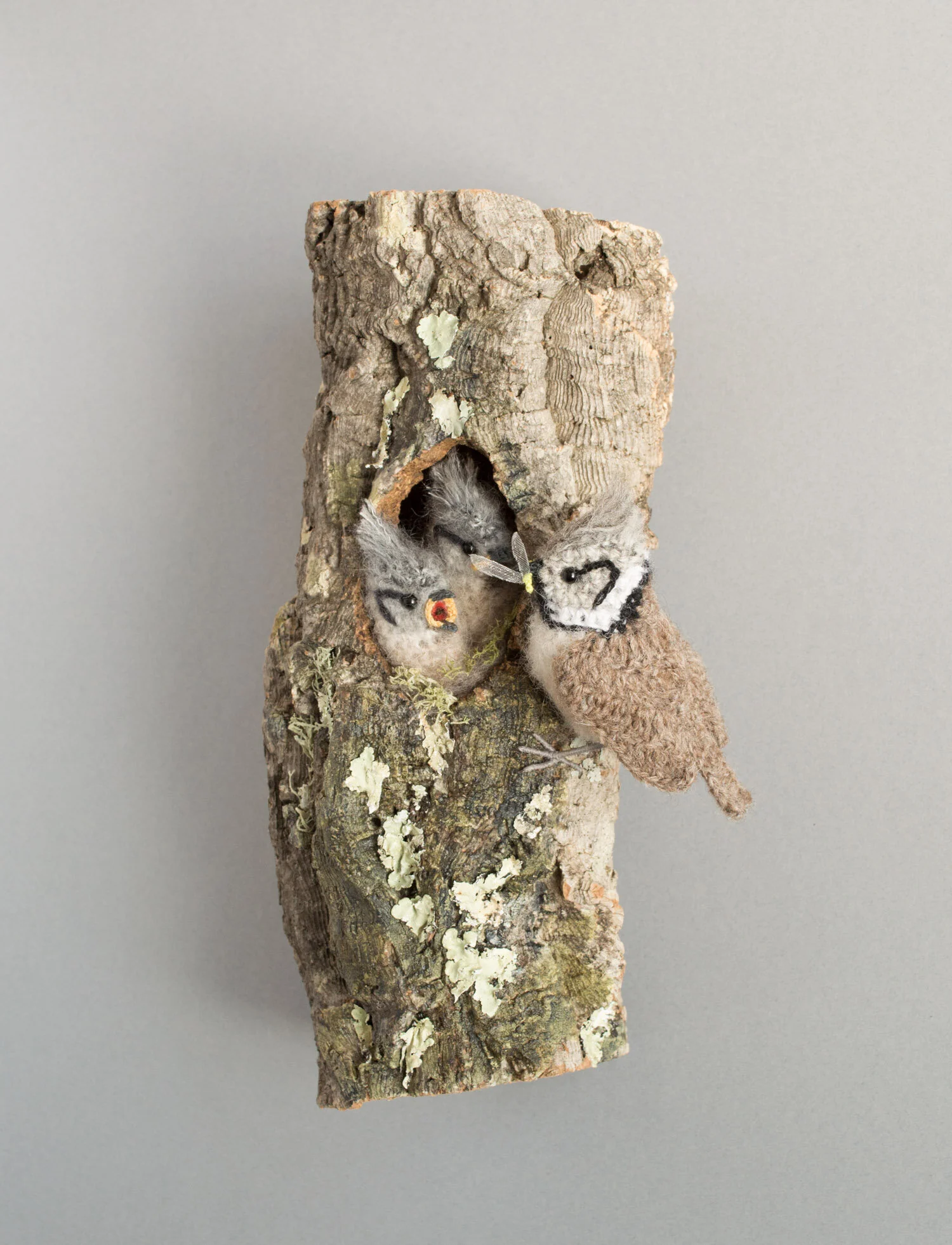 Crested tit nest 8 1500px.jpg