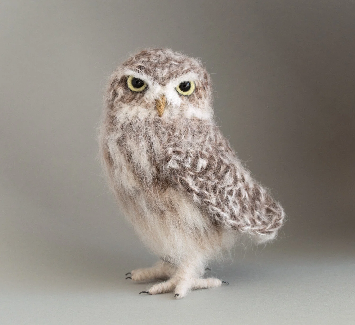 2019 Little Owl 17a 1500px.jpg