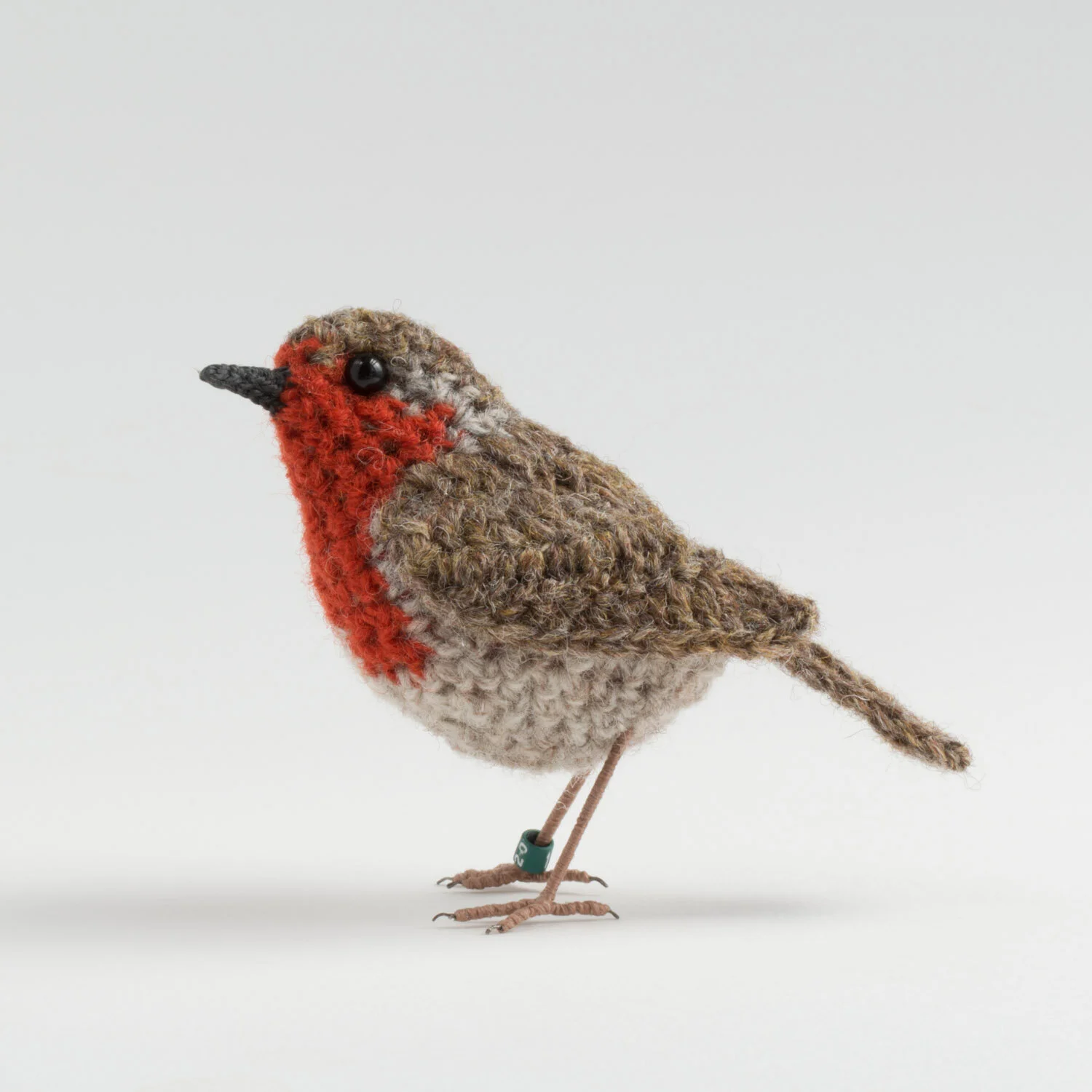 2020 Robins 11 1500px.jpg