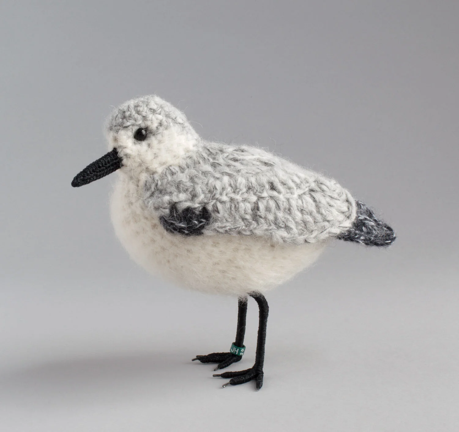 Sanderling 7 1500px.jpg