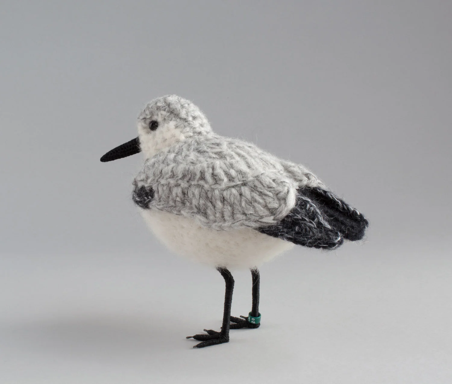 Sanderling 8 1500px.jpg