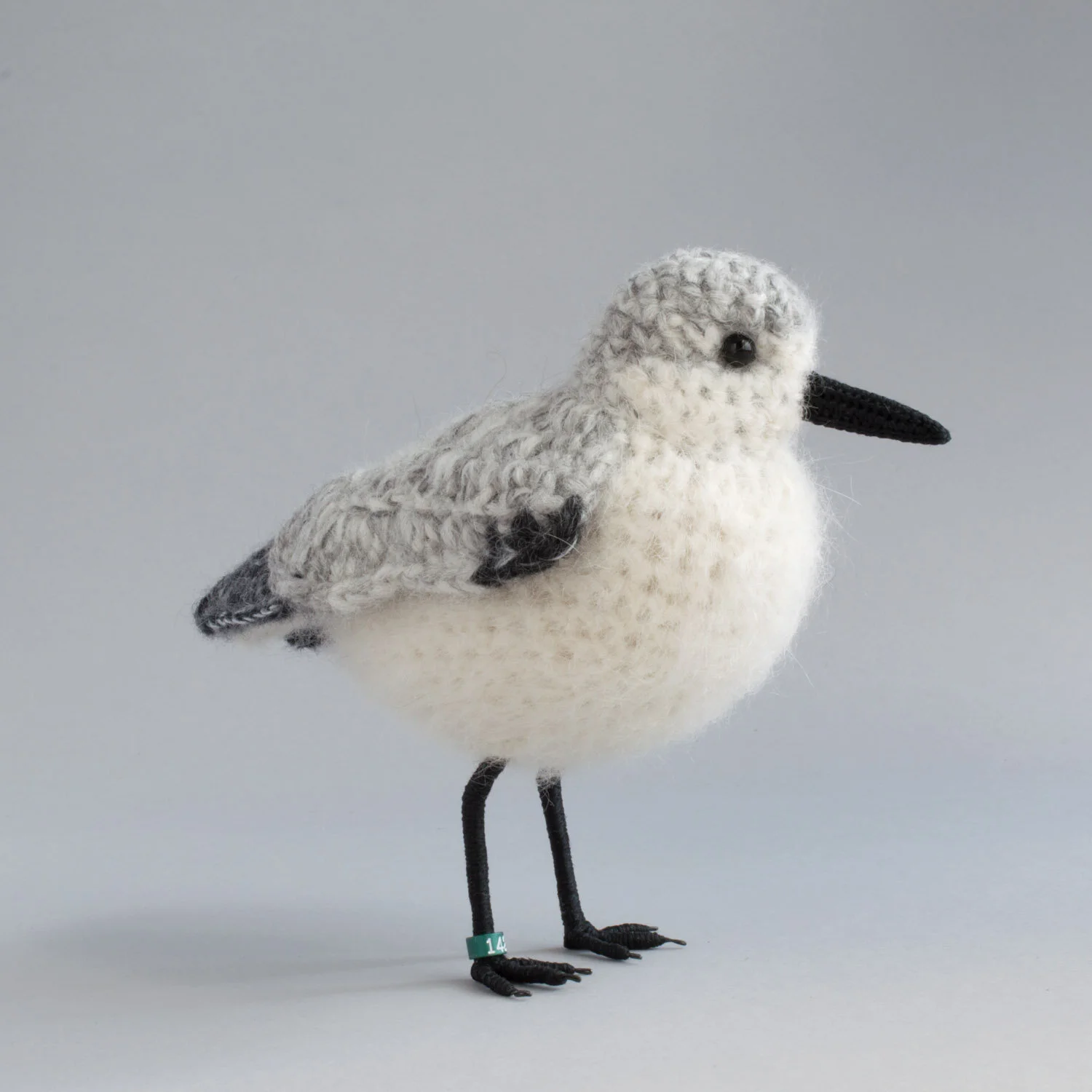 Sanderling 9 1500px.jpg