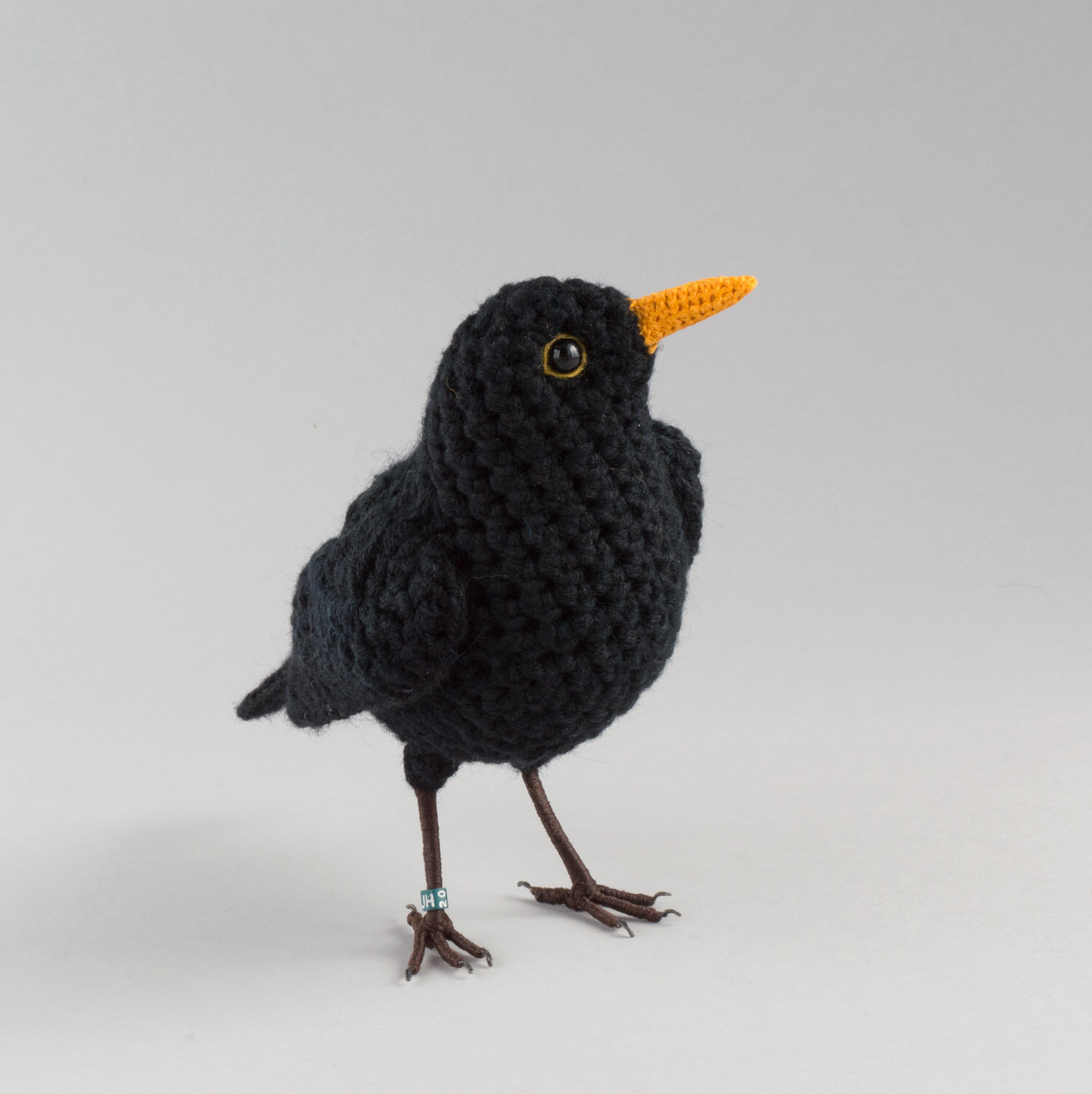Blackbird — Jose Heroys