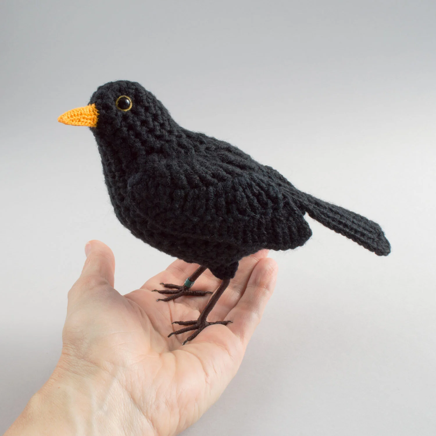 Blackbird — Jose Heroys
