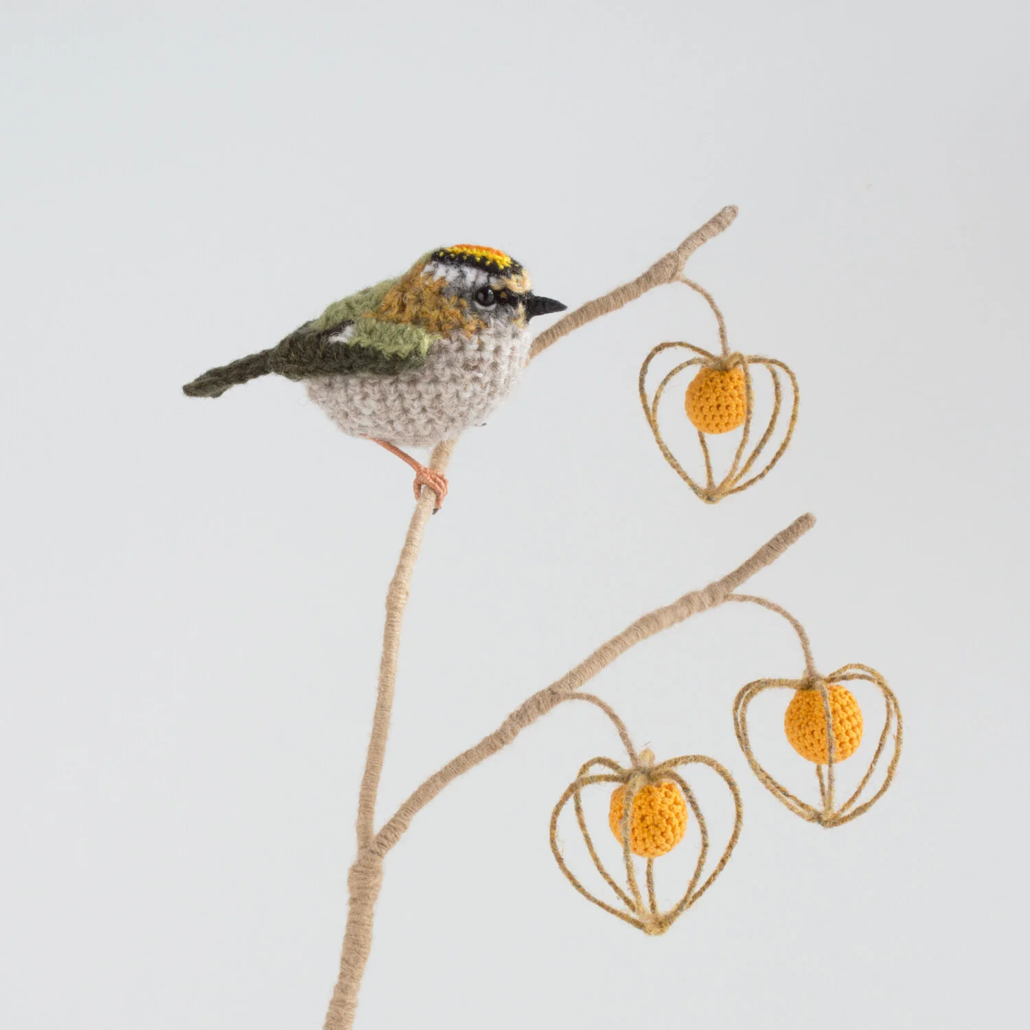2021 Firecrest on physallis 2 1500px.jpg