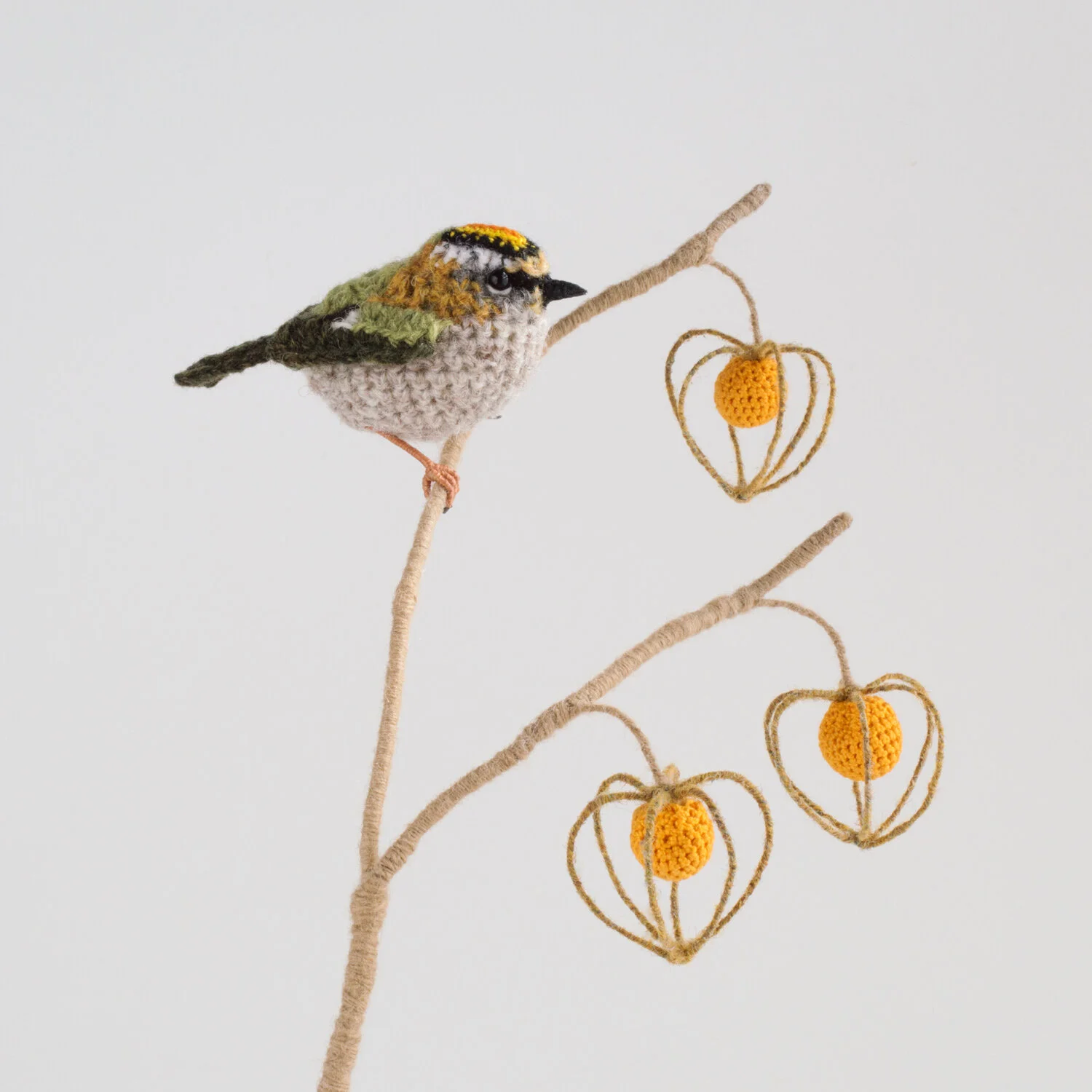 Firecrest on physalis vase-bird