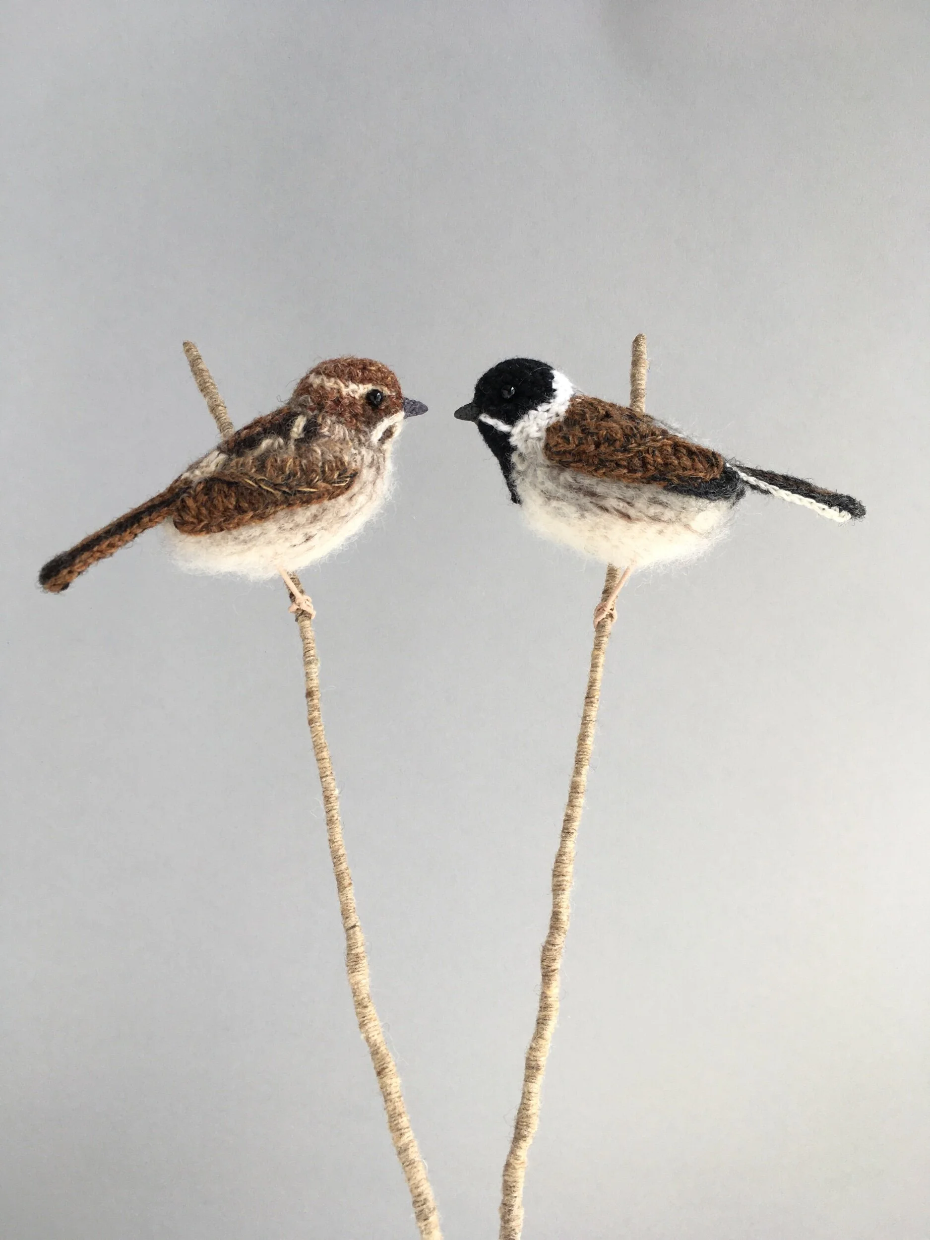 Pair of reed buntings