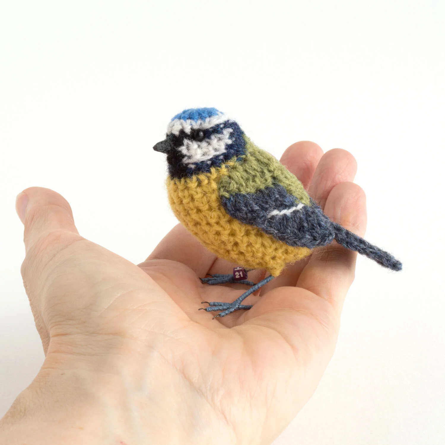 2021 Bluetit in hand 4 1500px.jpg