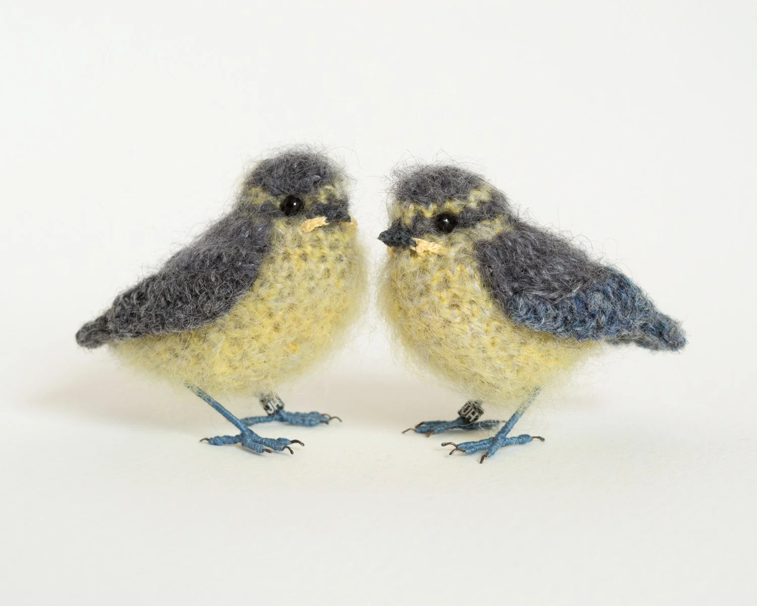 2019 Baby bluetits 4 1500px.jpg