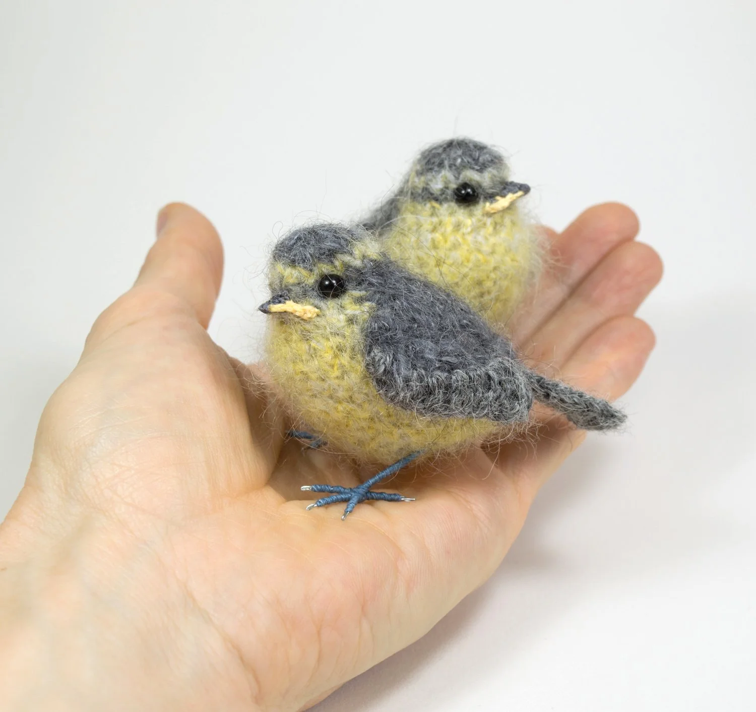 2017 Baby bluetits in hand 1 - 300dpi 1500px.jpg