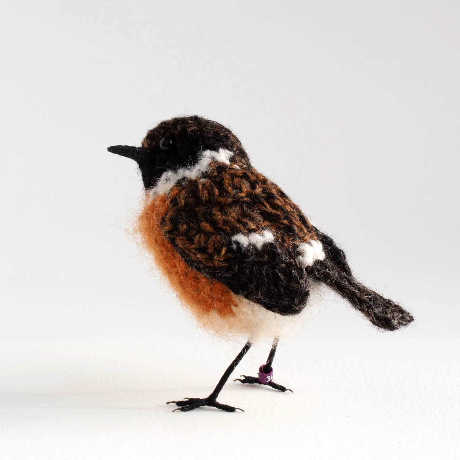 Stonechat 2 1500px.jpg