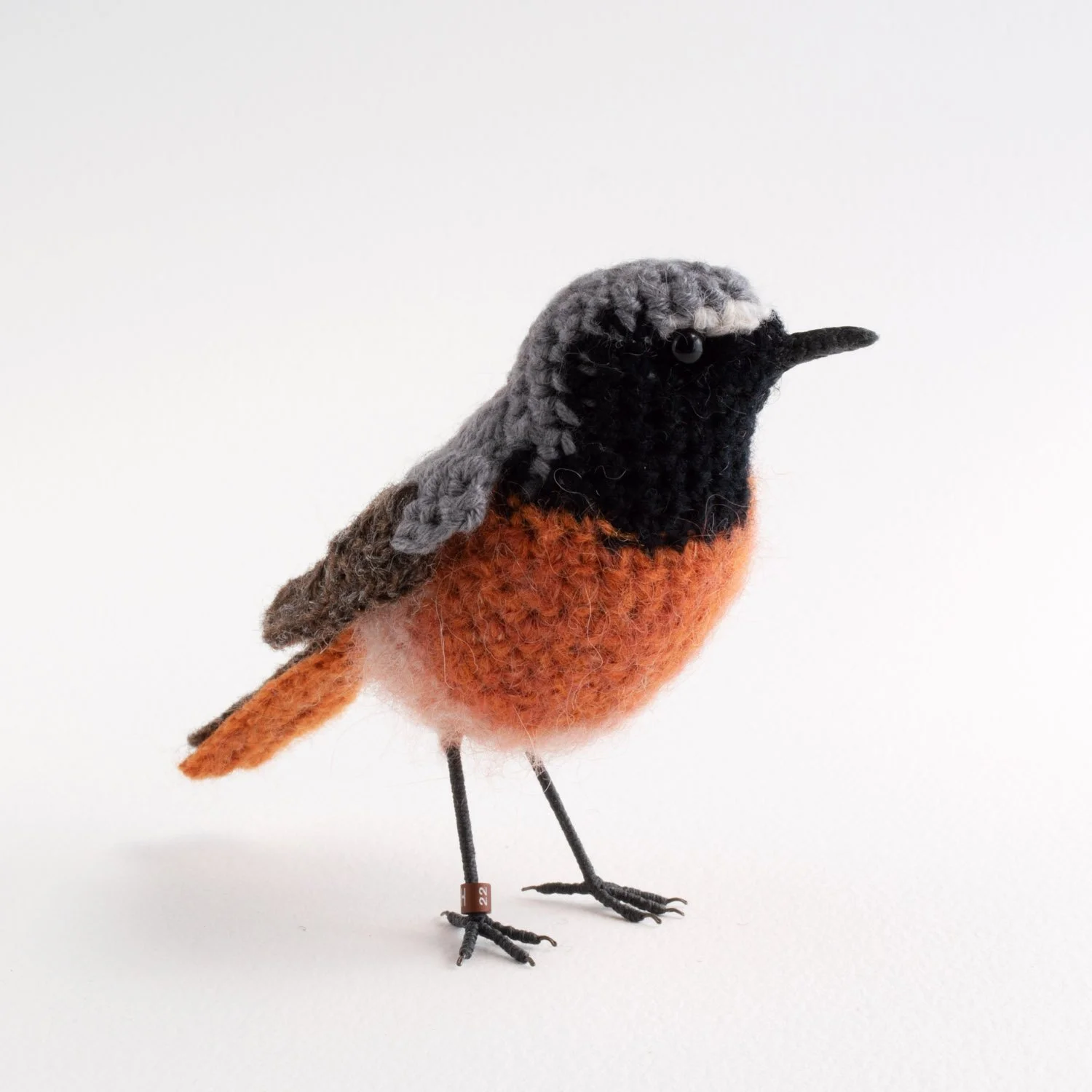 2022 Redstart 6 1500px.jpg