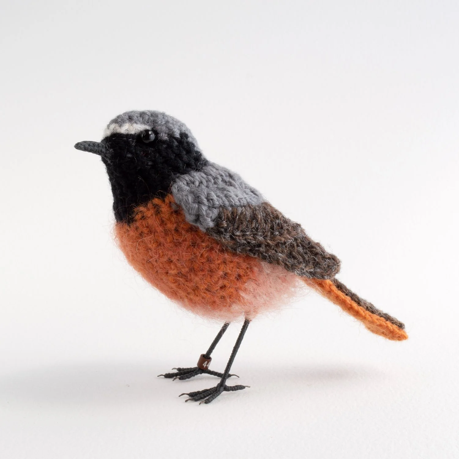 2022 Redstart 5 1500px.jpg