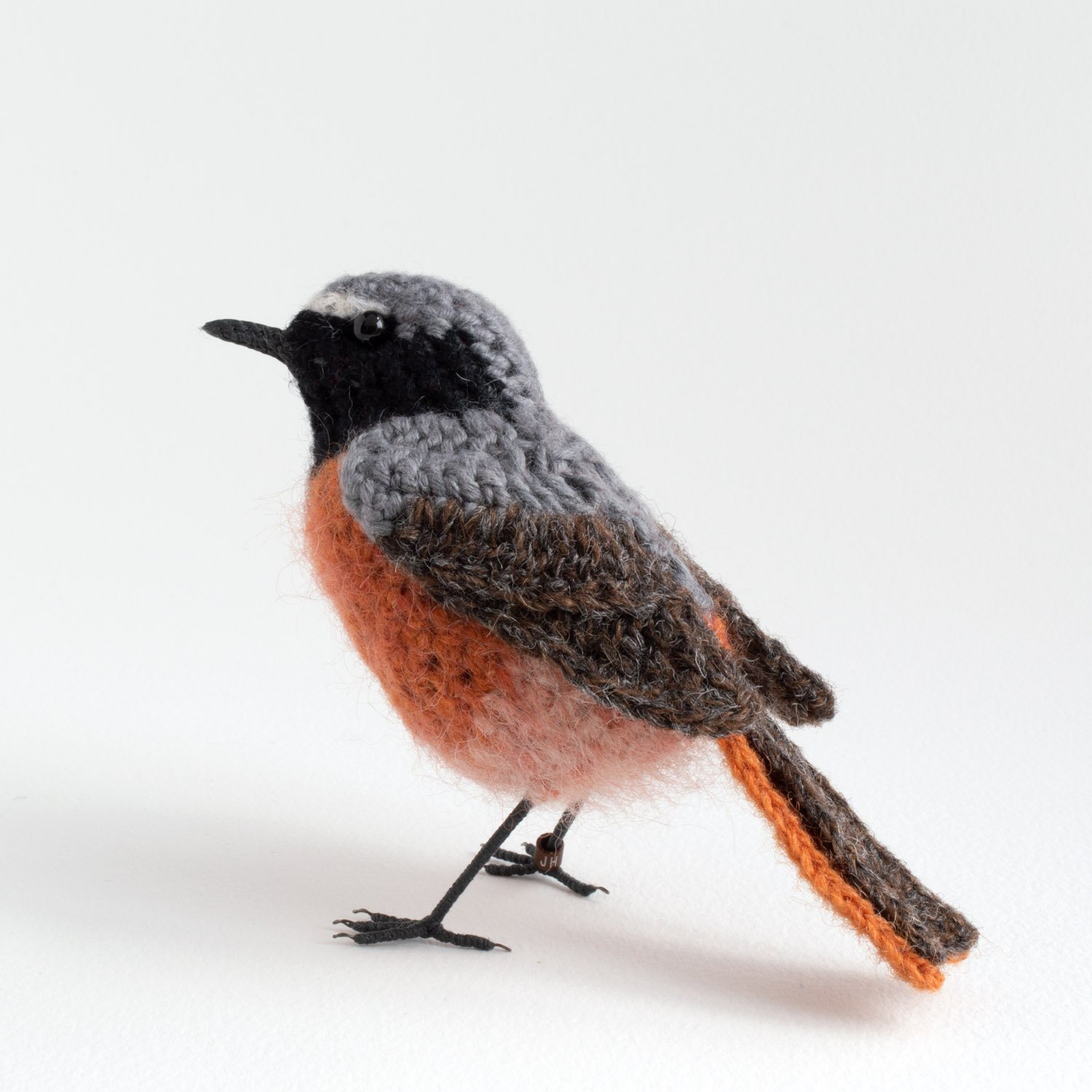 2022 Redstart 2 1500px.jpg