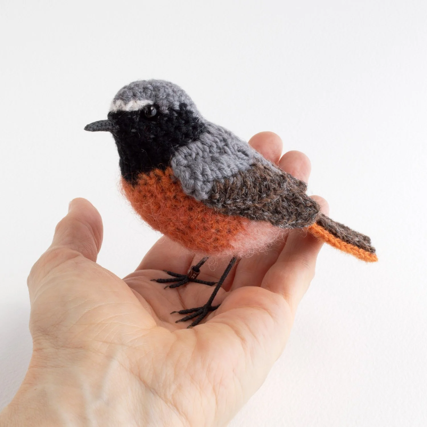 2022 Redstart 7 1500px - in hand.jpg
