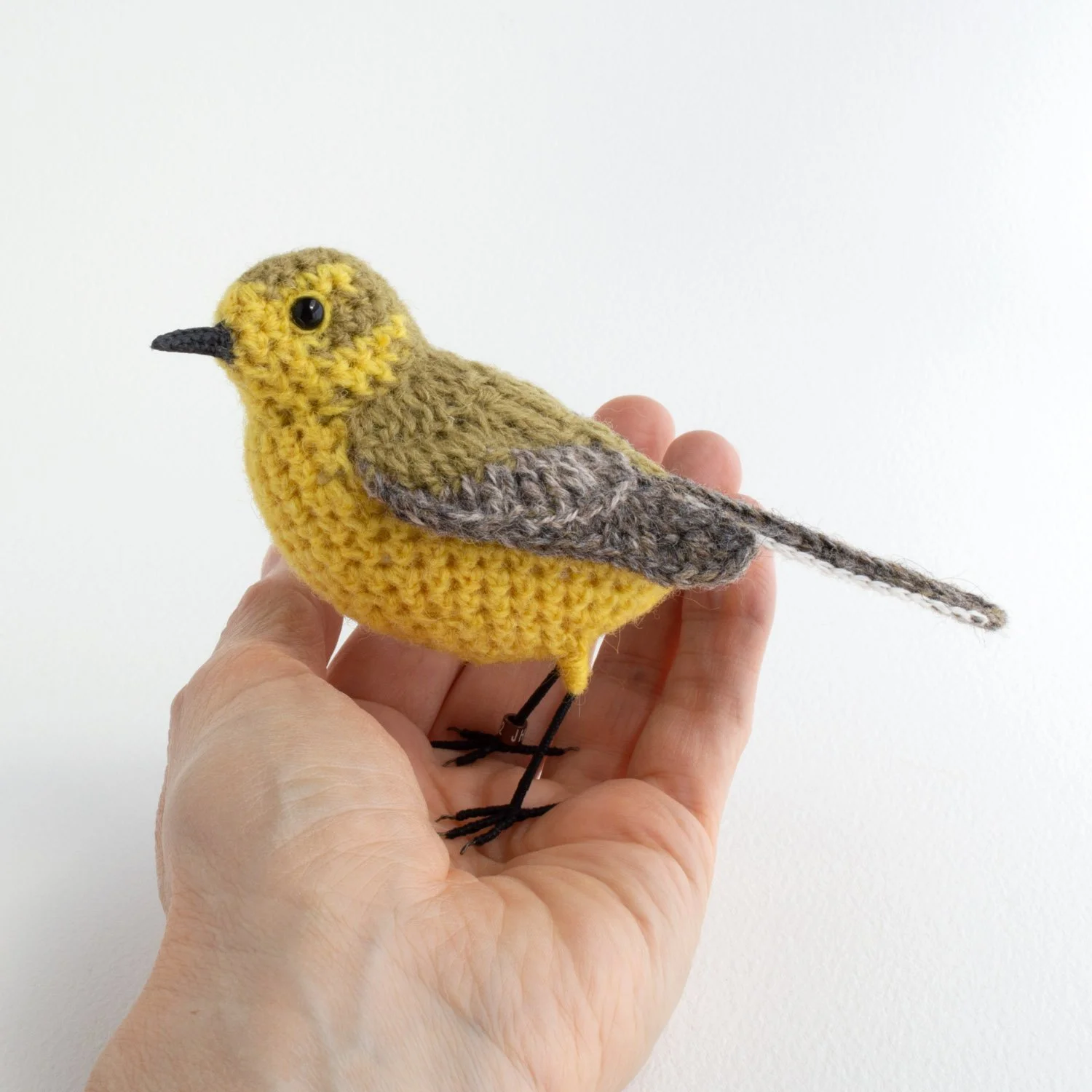 Yellow wagtail 7 1500px - in hand.jpg