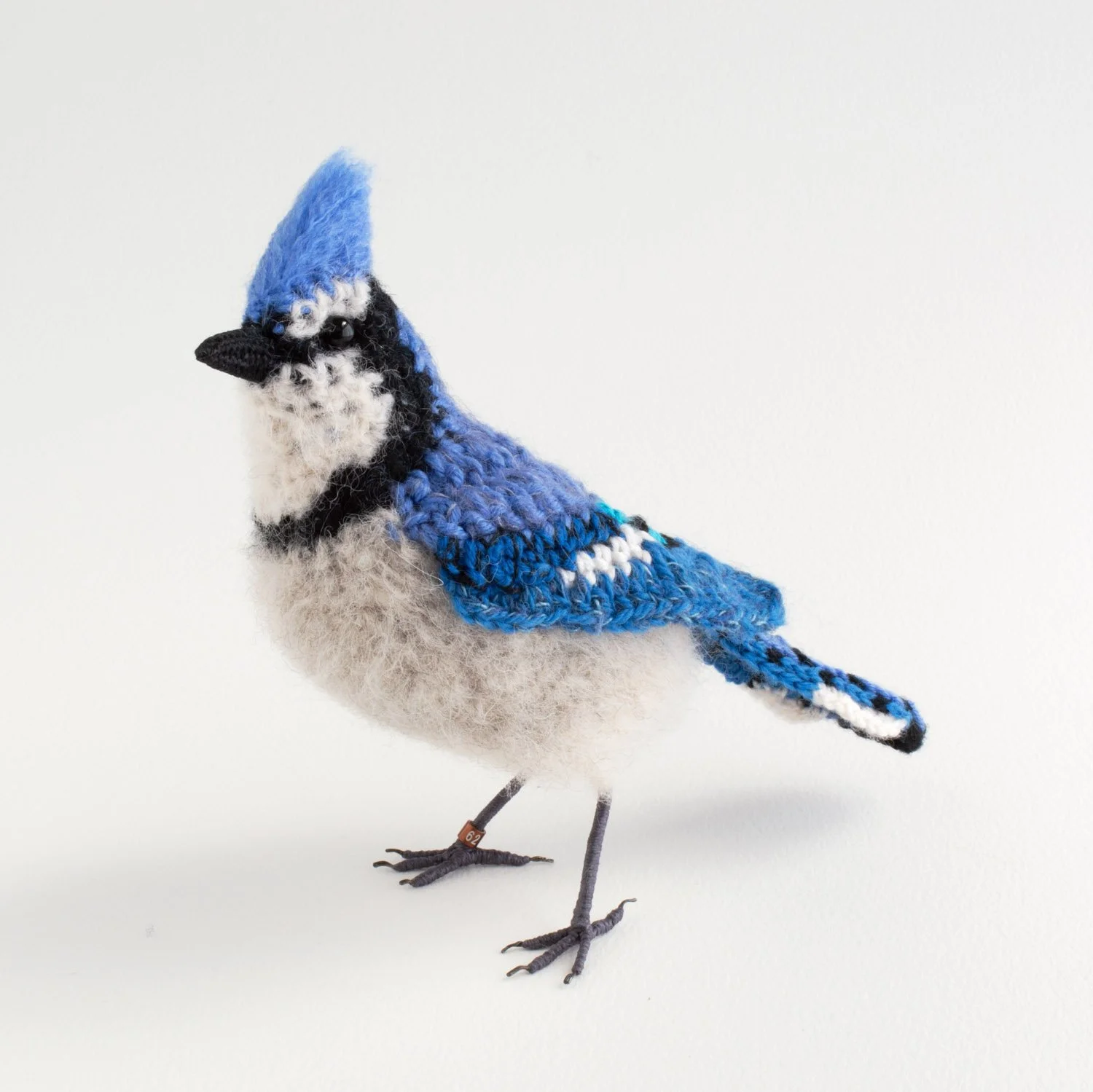 2022 v2 Blue jay 4 1500px.jpg