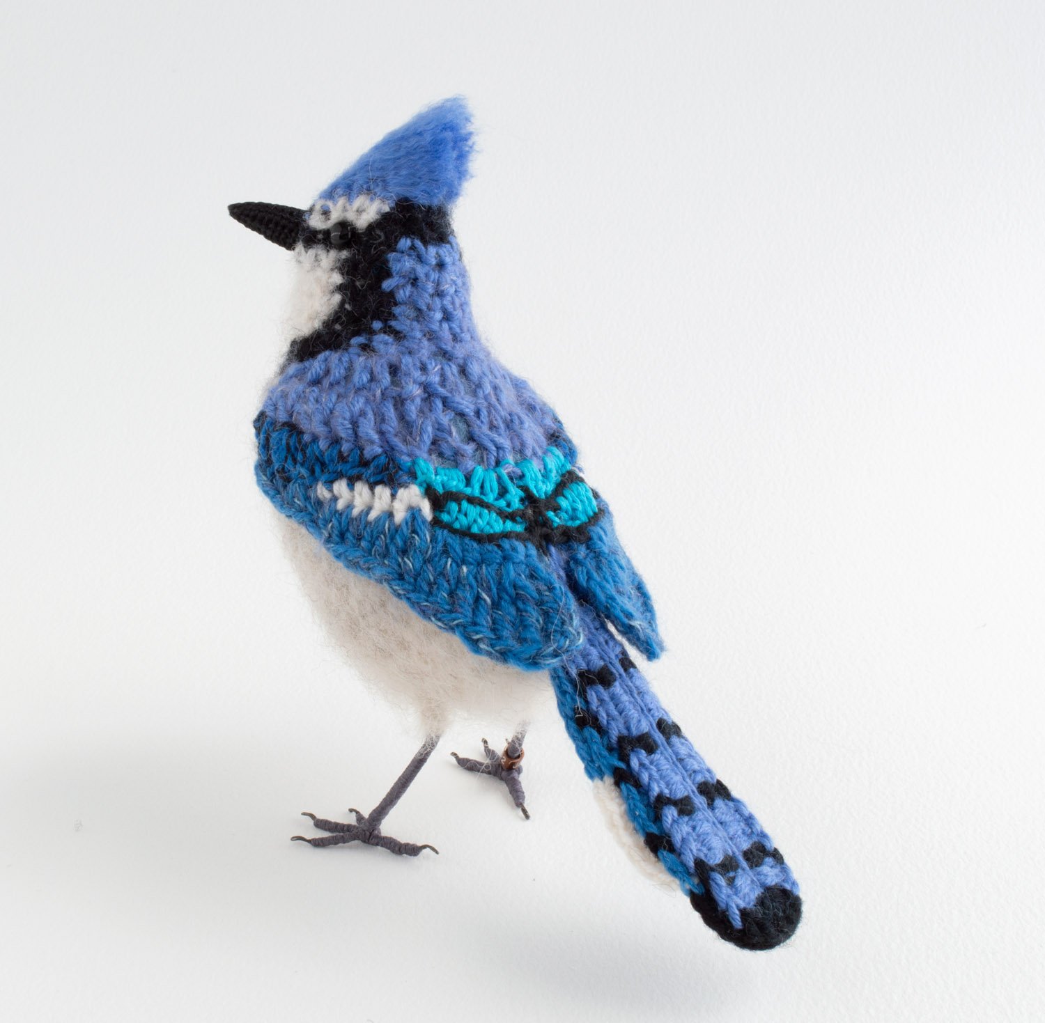 2022 v2 Blue jay 5 1500px.jpg