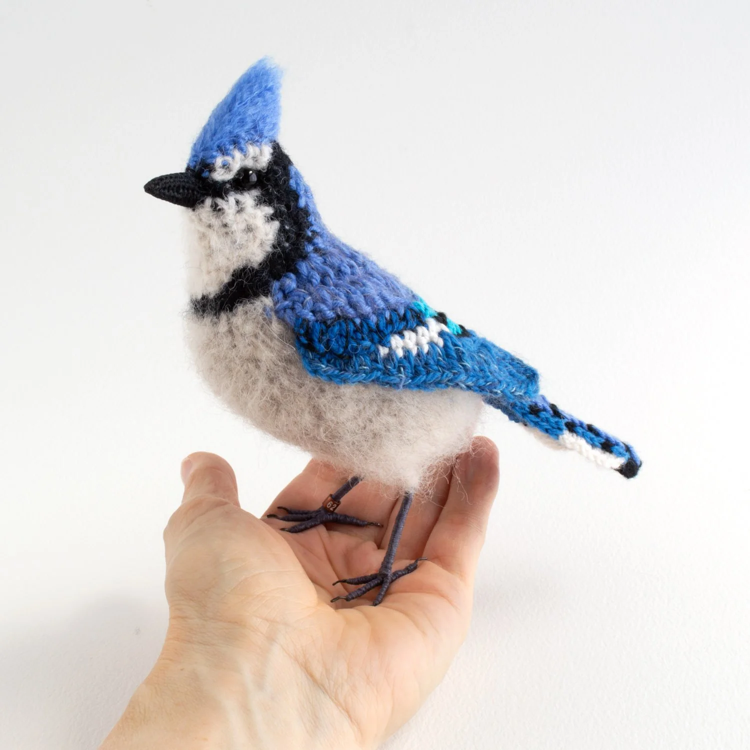 2022 v2 Blue jay 6 1500px - in hand.jpg